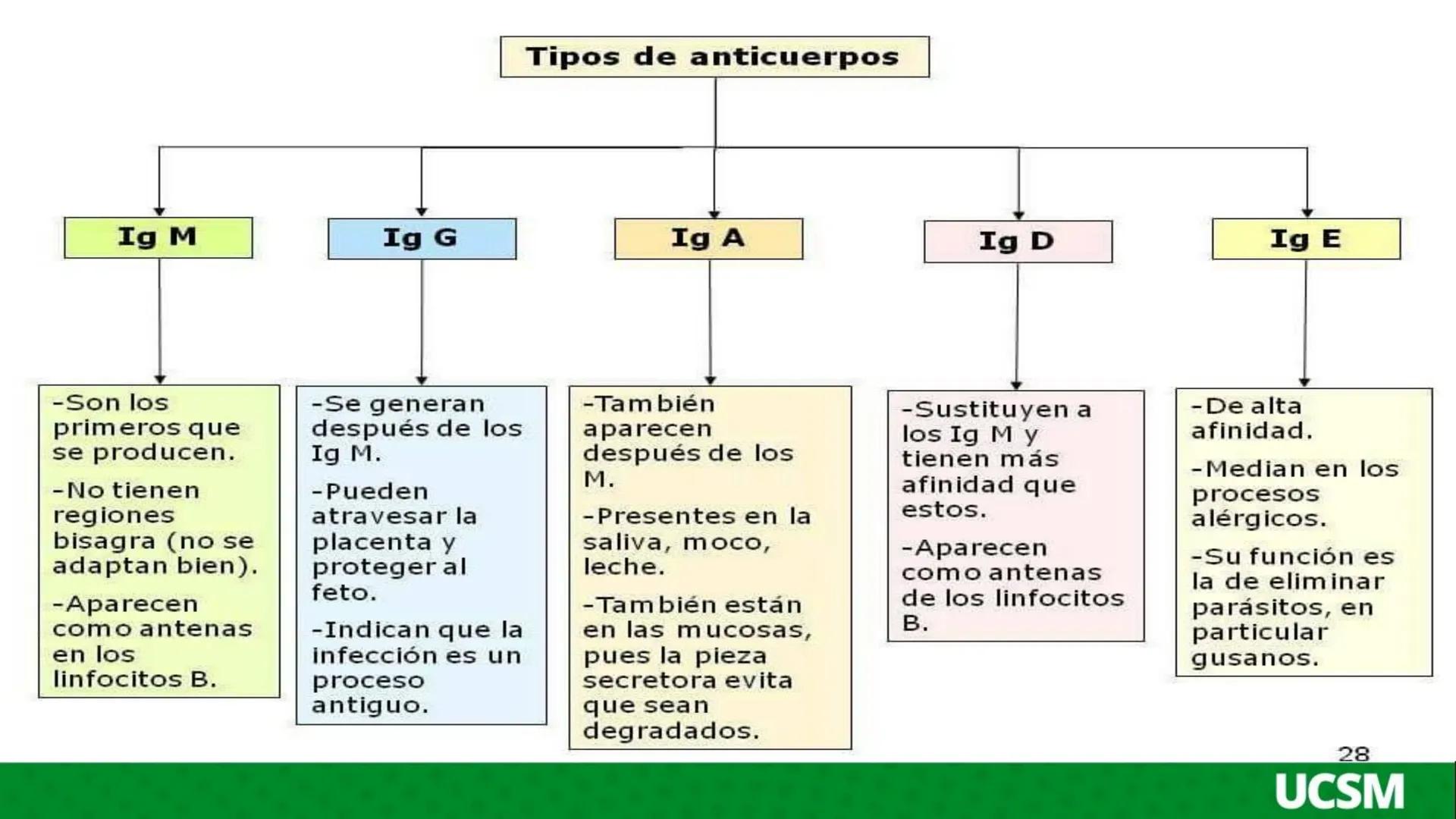 # Universidad Católica
de Santa María
# INMUNOLOGIA II
Mtro: FERNANDO TORRES VELA LA INFLAMACIÓN ES UNA RESPUESTA QUE SE PRODUCE CUANDO SE