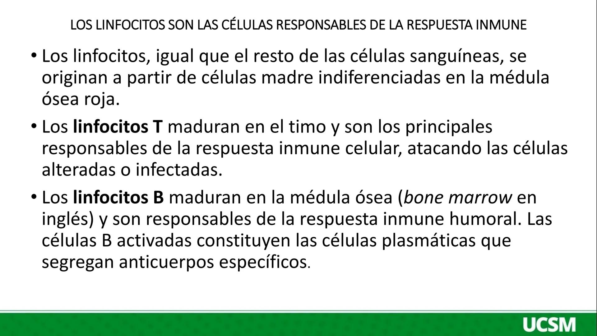 # Universidad Católica
de Santa María
# INMUNOLOGIA II
Mtro: FERNANDO TORRES VELA LA INFLAMACIÓN ES UNA RESPUESTA QUE SE PRODUCE CUANDO SE