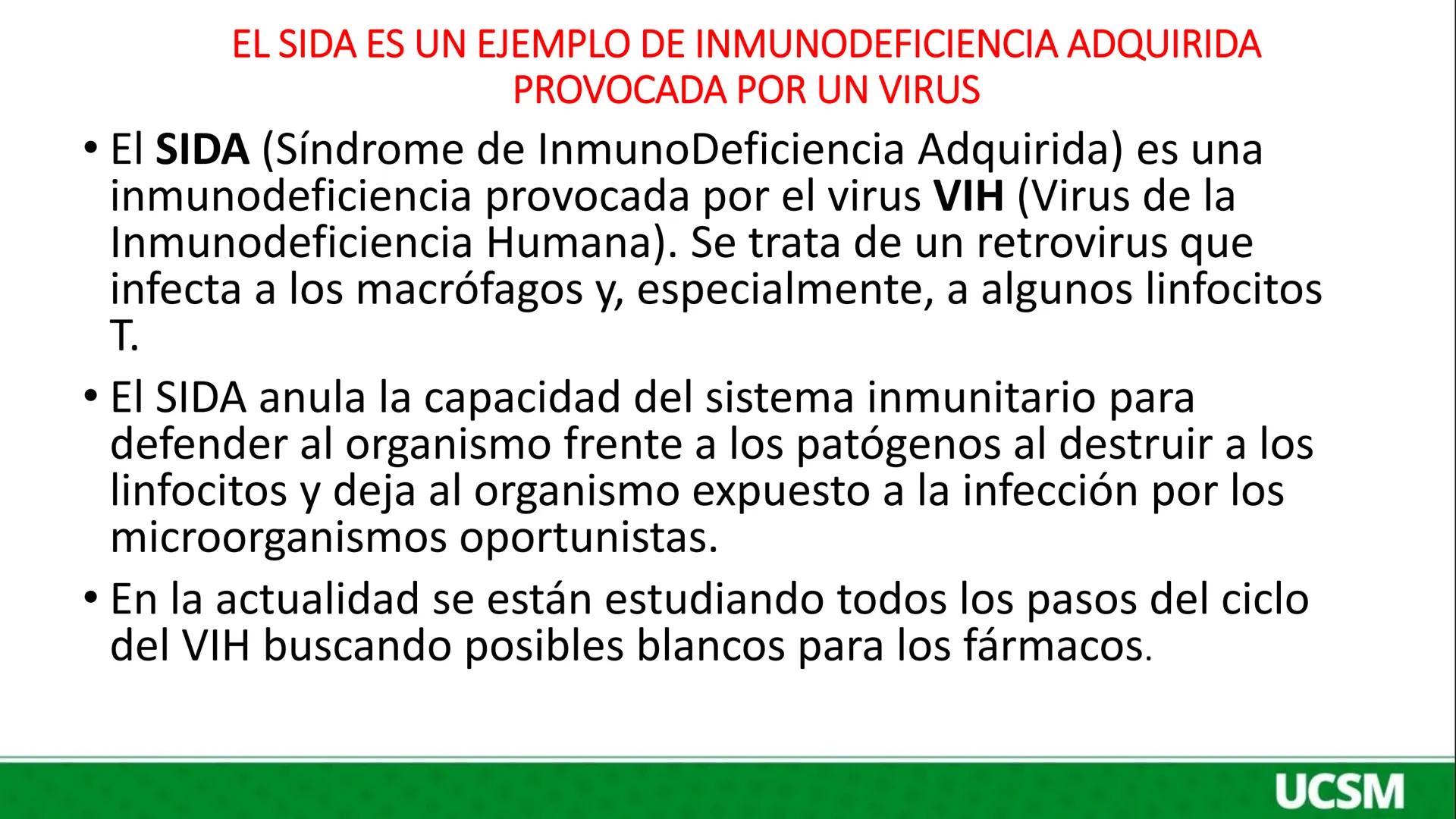 # Universidad Católica
## de Santa María
INMUNOLOGIA III
Mtro: FERNANDO TORRES VELA # LA RESPUESTA HUMORAL CONSISTE BÁSICAMENTE EN LA SÍNT