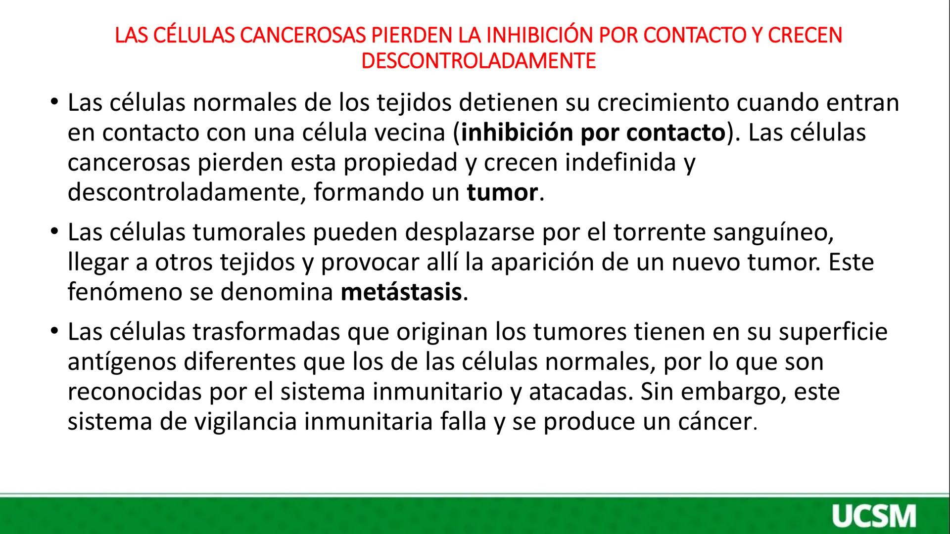 # Universidad Católica
## de Santa María
INMUNOLOGIA III
Mtro: FERNANDO TORRES VELA # LA RESPUESTA HUMORAL CONSISTE BÁSICAMENTE EN LA SÍNT