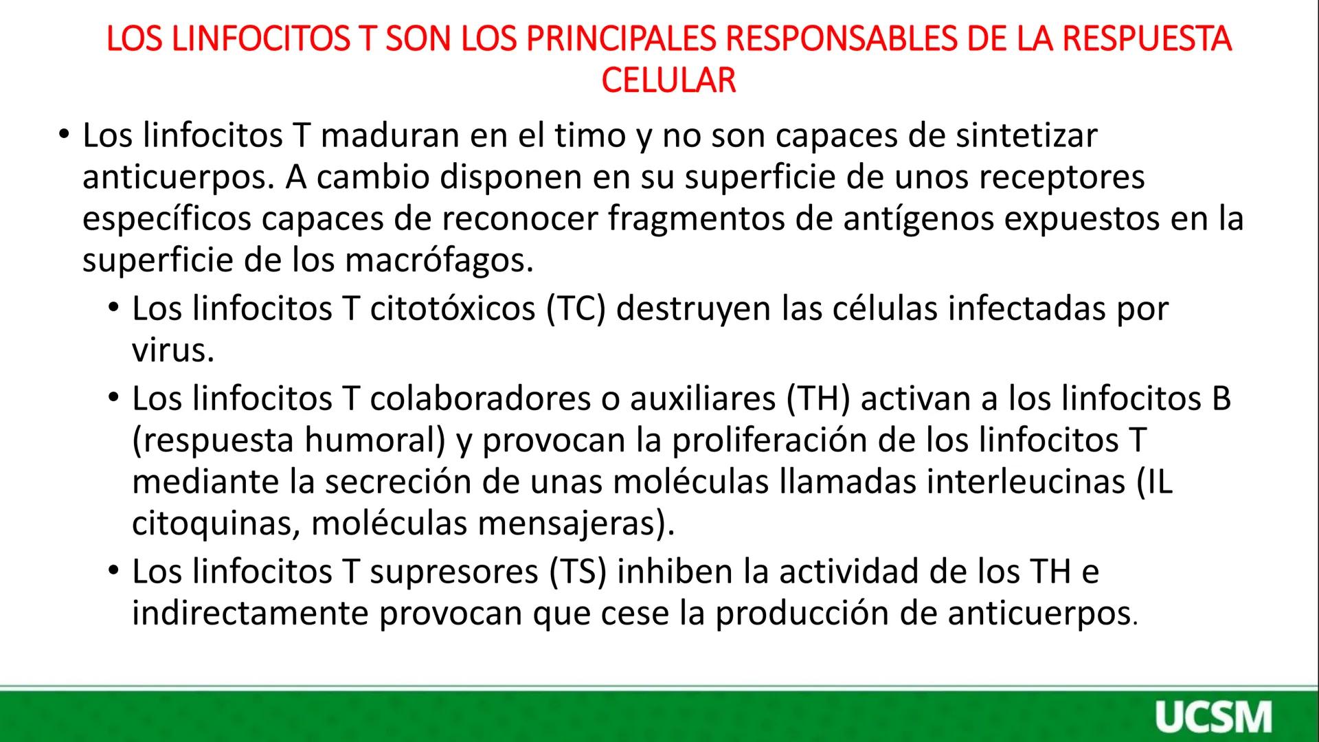 # Universidad Católica
## de Santa María
INMUNOLOGIA III
Mtro: FERNANDO TORRES VELA # LA RESPUESTA HUMORAL CONSISTE BÁSICAMENTE EN LA SÍNT