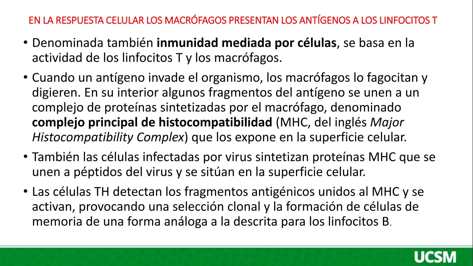 # Universidad Católica
## de Santa María
INMUNOLOGIA III
Mtro: FERNANDO TORRES VELA # LA RESPUESTA HUMORAL CONSISTE BÁSICAMENTE EN LA SÍNT