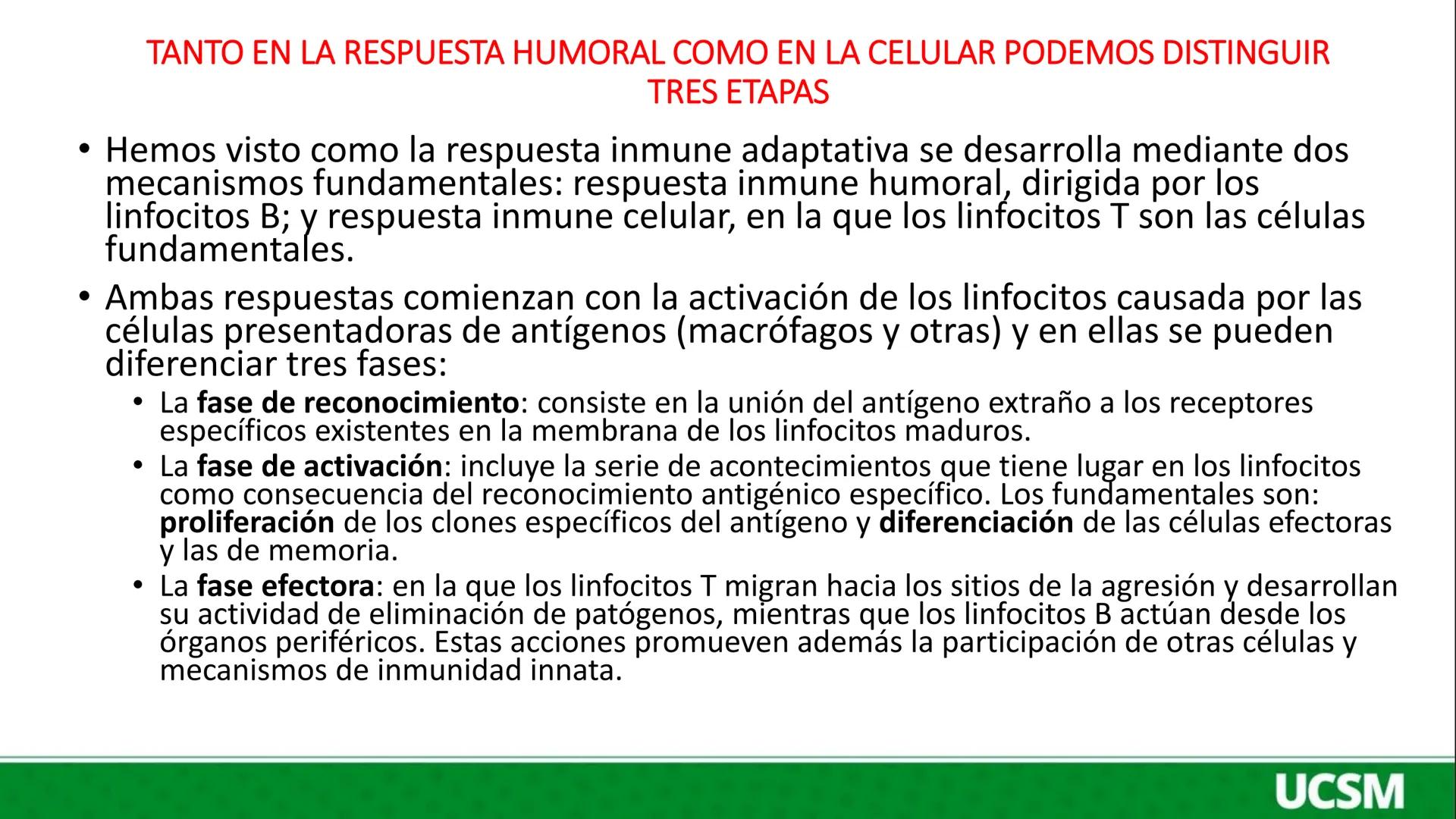 # Universidad Católica
## de Santa María
INMUNOLOGIA III
Mtro: FERNANDO TORRES VELA # LA RESPUESTA HUMORAL CONSISTE BÁSICAMENTE EN LA SÍNT