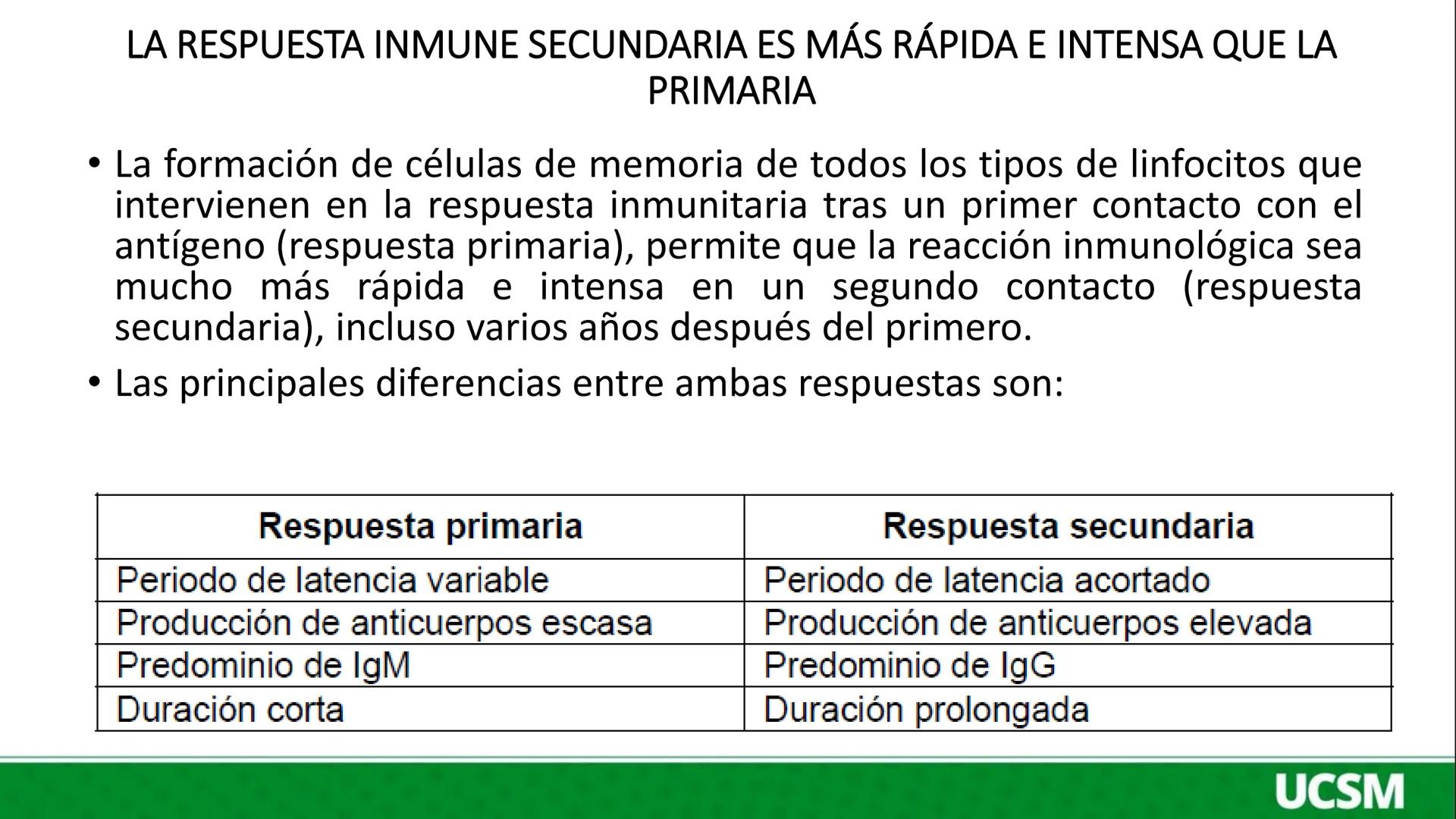 # Universidad Católica
## de Santa María
INMUNOLOGIA III
Mtro: FERNANDO TORRES VELA # LA RESPUESTA HUMORAL CONSISTE BÁSICAMENTE EN LA SÍNT