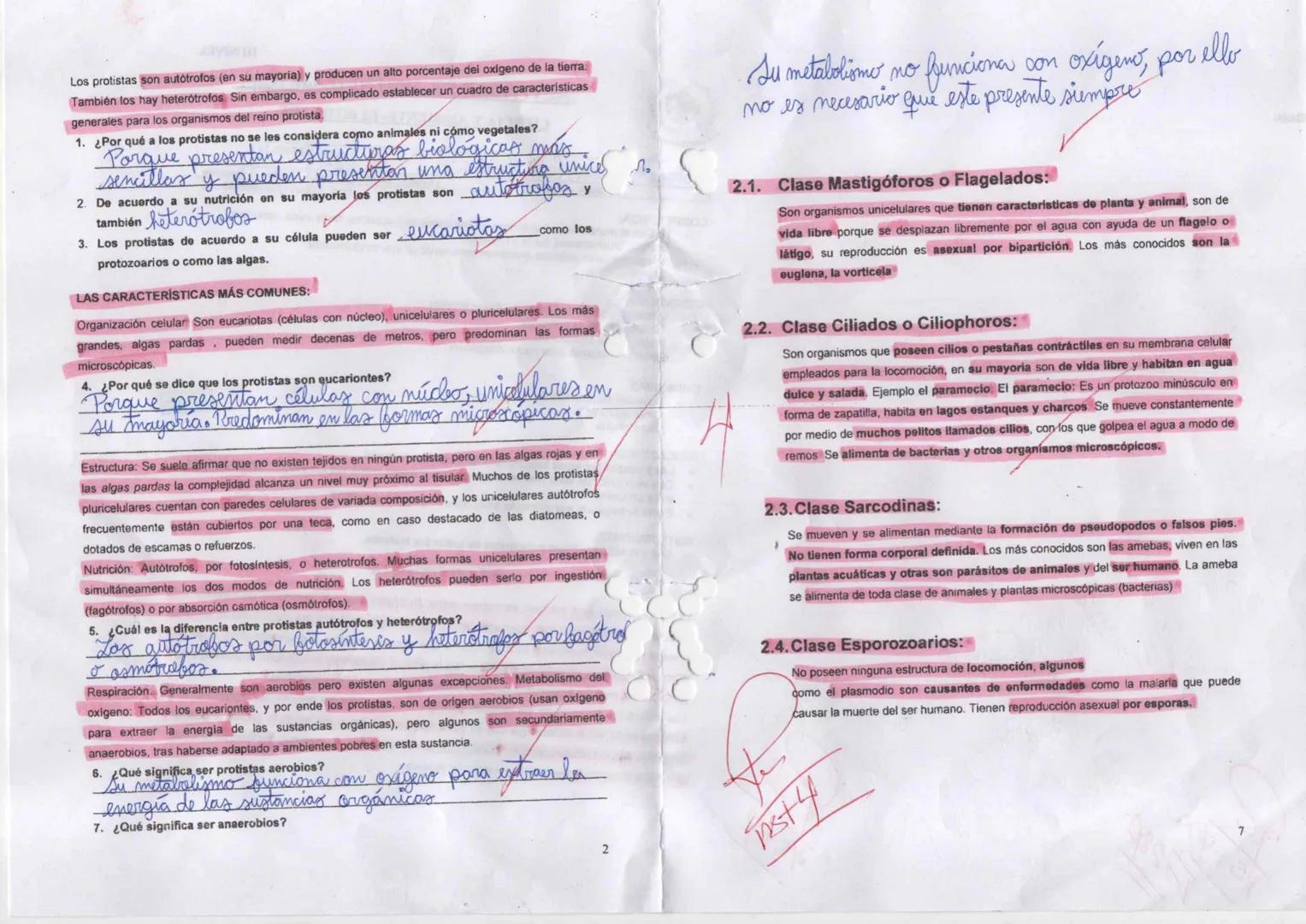 --- OCR Start ---
11
09 24
Dominio Eukarya
Reino protista o protatista
Planteamiento del
problema
Hipótesis
Indagación
1 Elabora un organiza