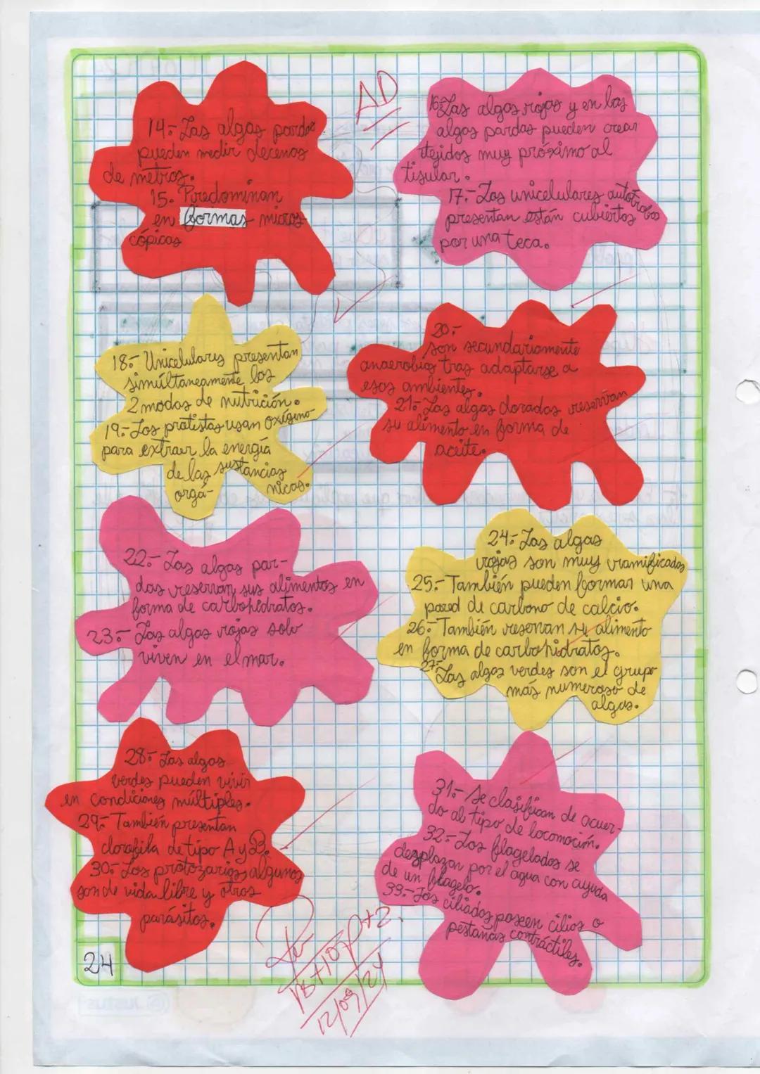 --- OCR Start ---
11
09 24
Dominio Eukarya
Reino protista o protatista
Planteamiento del
problema
Hipótesis
Indagación
1 Elabora un organiza