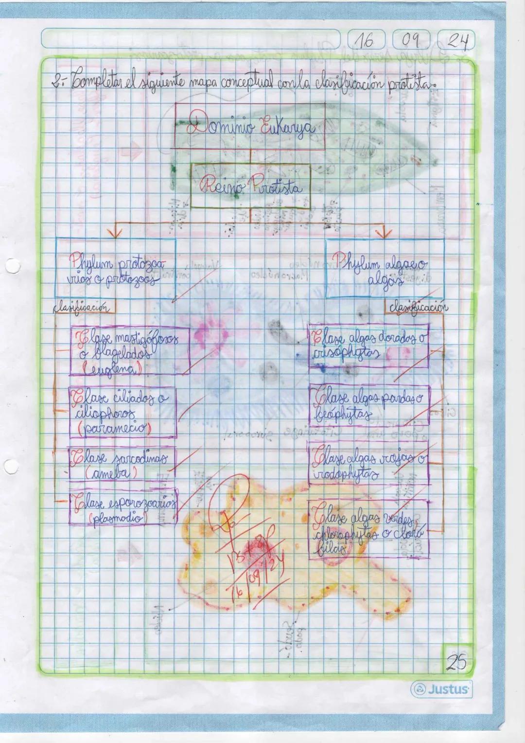 --- OCR Start ---
11
09 24
Dominio Eukarya
Reino protista o protatista
Planteamiento del
problema
Hipótesis
Indagación
1 Elabora un organiza