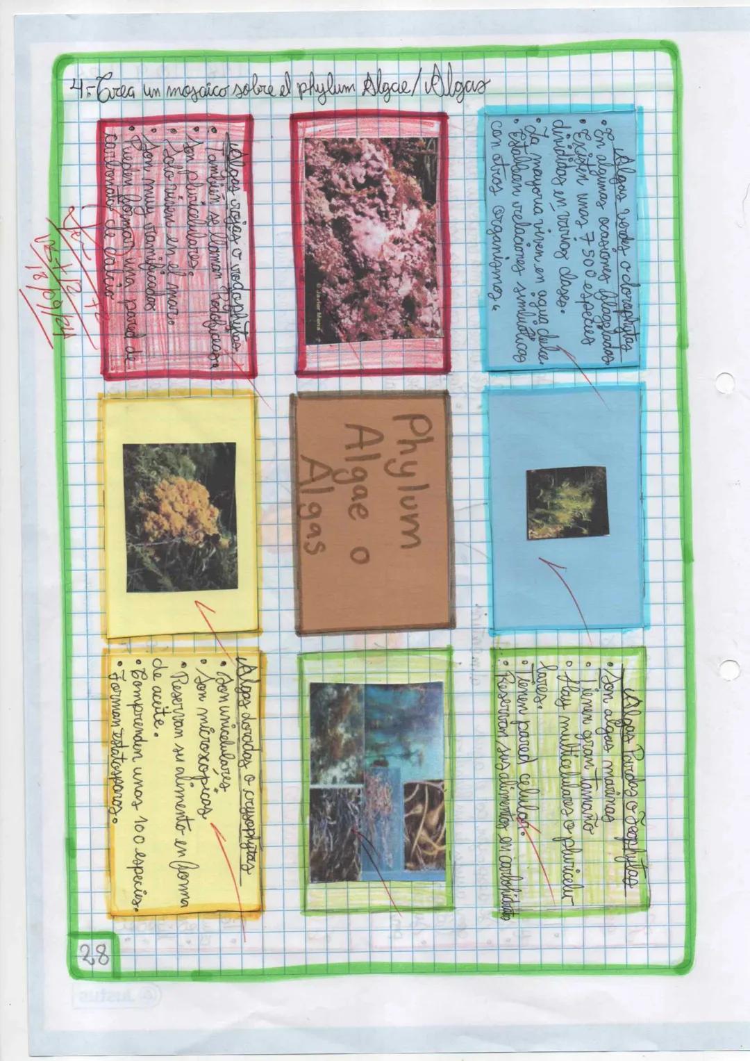 --- OCR Start ---
11
09 24
Dominio Eukarya
Reino protista o protatista
Planteamiento del
problema
Hipótesis
Indagación
1 Elabora un organiza