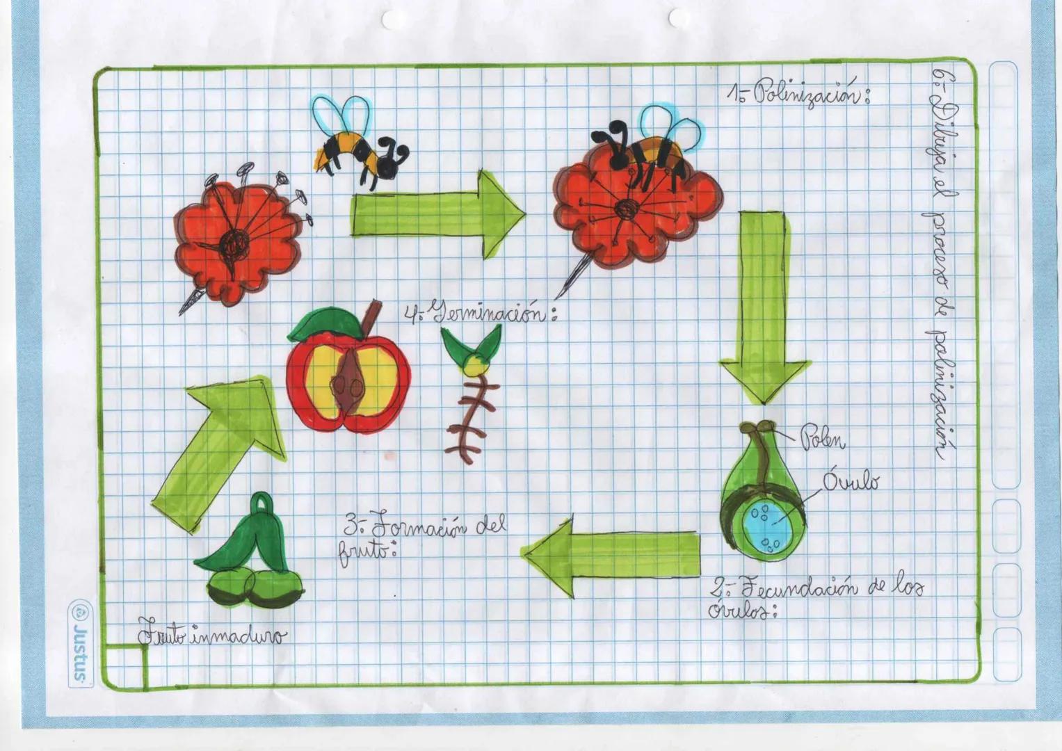 2
Blanca nueva
Orotar como una
desarrollar iraices y
se planta para y
de tallo co rama
se corla un itroso
esm: rosales
generan plantas
esque