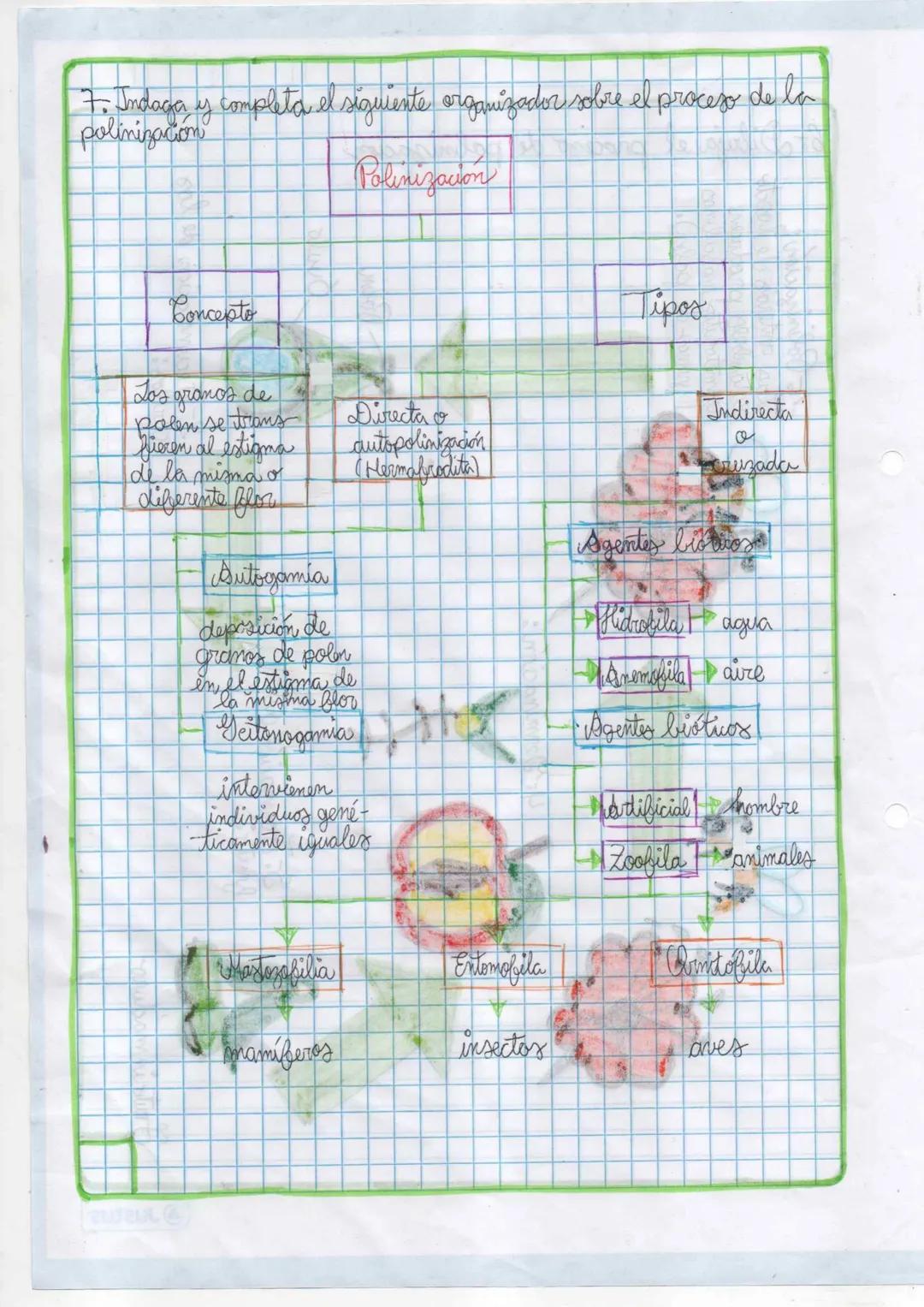 Polinización y sistema de producción sexual en la flor