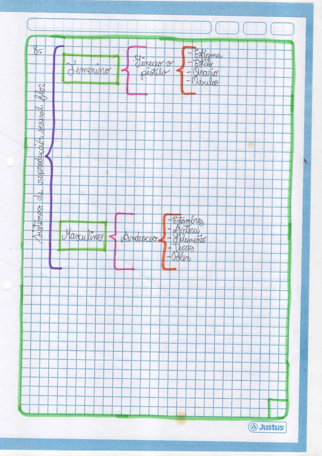 7. Indaga y completa el siguiente organizador sobre el proceso de la
polinización
Polinización
Concepto
Los granos de
Polen se trans
frec