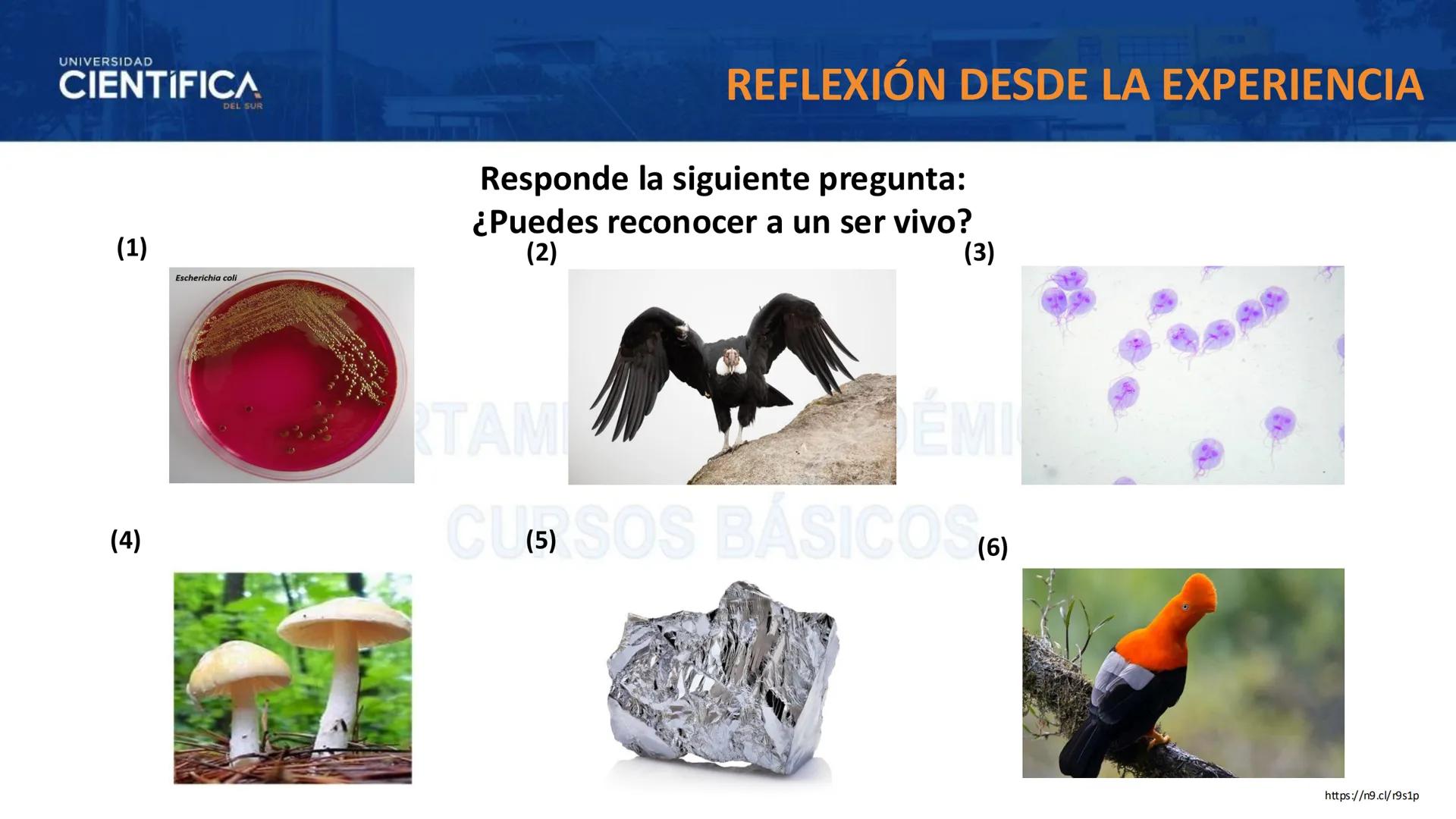# UNIVERSIDAD
# CIENTÍFICA
DEL SUR
# BIOLOGÍA
Departamento Académico de Cursos Básicos
MEJORAS TÚ, MEJORA EL MUNDO. # UNIVERSIDAD
# CIENTÍFI