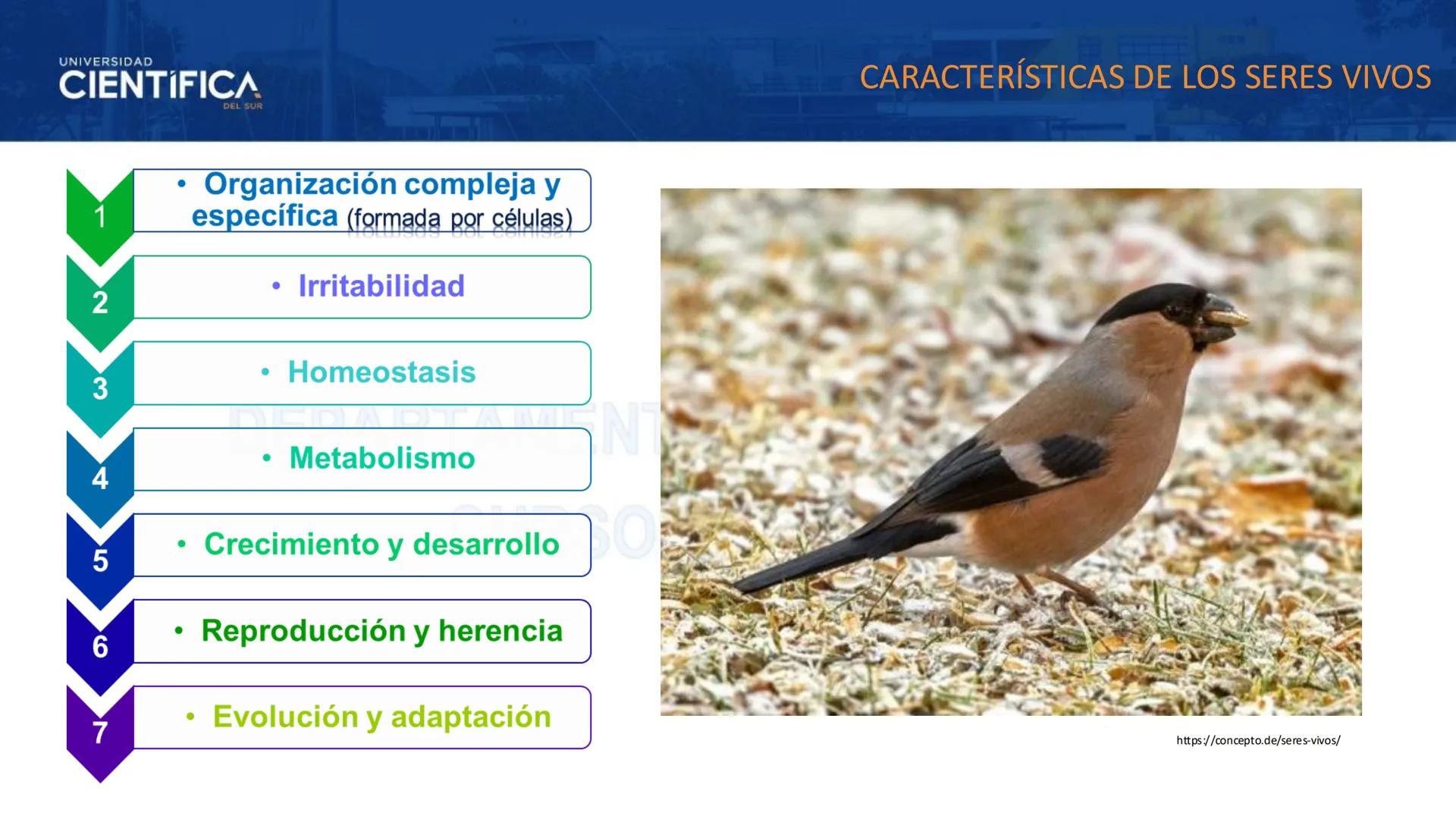# UNIVERSIDAD
# CIENTÍFICA
DEL SUR
# BIOLOGÍA
Departamento Académico de Cursos Básicos
MEJORAS TÚ, MEJORA EL MUNDO. # UNIVERSIDAD
# CIENTÍFI