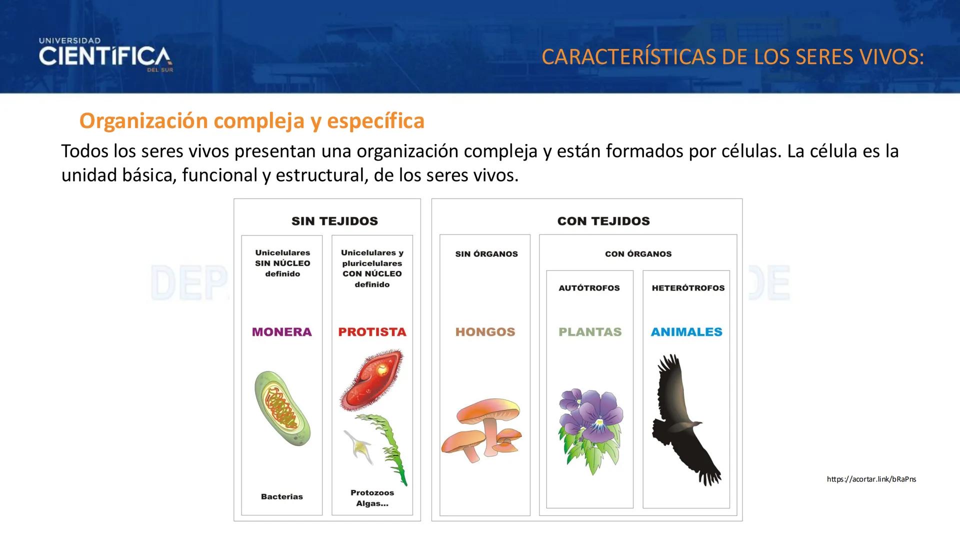 # UNIVERSIDAD
# CIENTÍFICA
DEL SUR
# BIOLOGÍA
Departamento Académico de Cursos Básicos
MEJORAS TÚ, MEJORA EL MUNDO. # UNIVERSIDAD
# CIENTÍFI