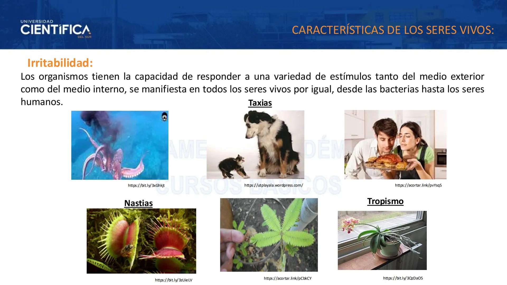 # UNIVERSIDAD
# CIENTÍFICA
DEL SUR
# BIOLOGÍA
Departamento Académico de Cursos Básicos
MEJORAS TÚ, MEJORA EL MUNDO. # UNIVERSIDAD
# CIENTÍFI