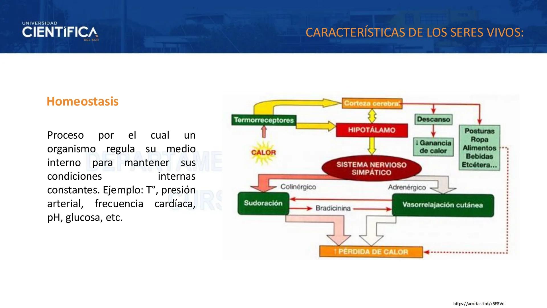 # UNIVERSIDAD
# CIENTÍFICA
DEL SUR
# BIOLOGÍA
Departamento Académico de Cursos Básicos
MEJORAS TÚ, MEJORA EL MUNDO. # UNIVERSIDAD
# CIENTÍFI