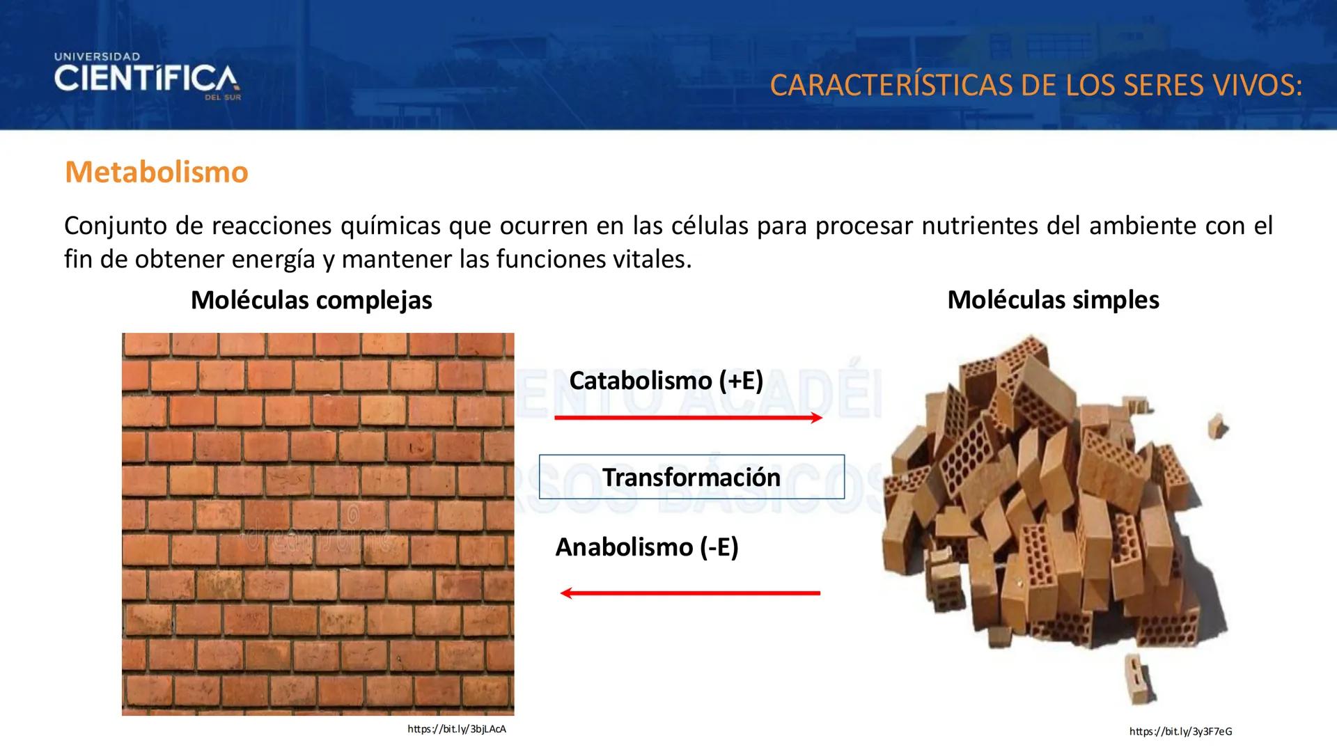 # UNIVERSIDAD
# CIENTÍFICA
DEL SUR
# BIOLOGÍA
Departamento Académico de Cursos Básicos
MEJORAS TÚ, MEJORA EL MUNDO. # UNIVERSIDAD
# CIENTÍFI