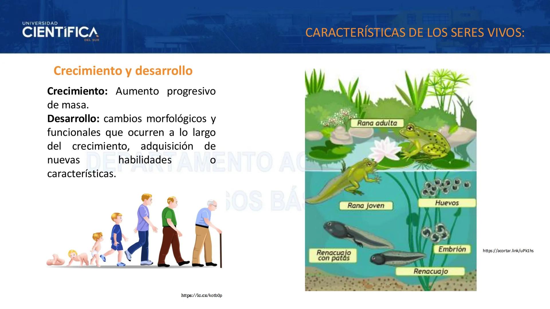 # UNIVERSIDAD
# CIENTÍFICA
DEL SUR
# BIOLOGÍA
Departamento Académico de Cursos Básicos
MEJORAS TÚ, MEJORA EL MUNDO. # UNIVERSIDAD
# CIENTÍFI