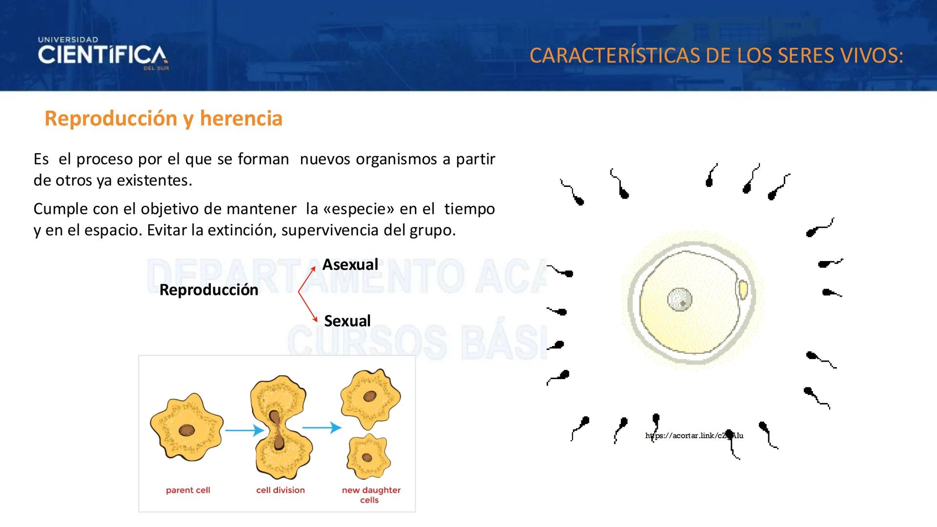 # UNIVERSIDAD
# CIENTÍFICA
DEL SUR
# BIOLOGÍA
Departamento Académico de Cursos Básicos
MEJORAS TÚ, MEJORA EL MUNDO. # UNIVERSIDAD
# CIENTÍFI