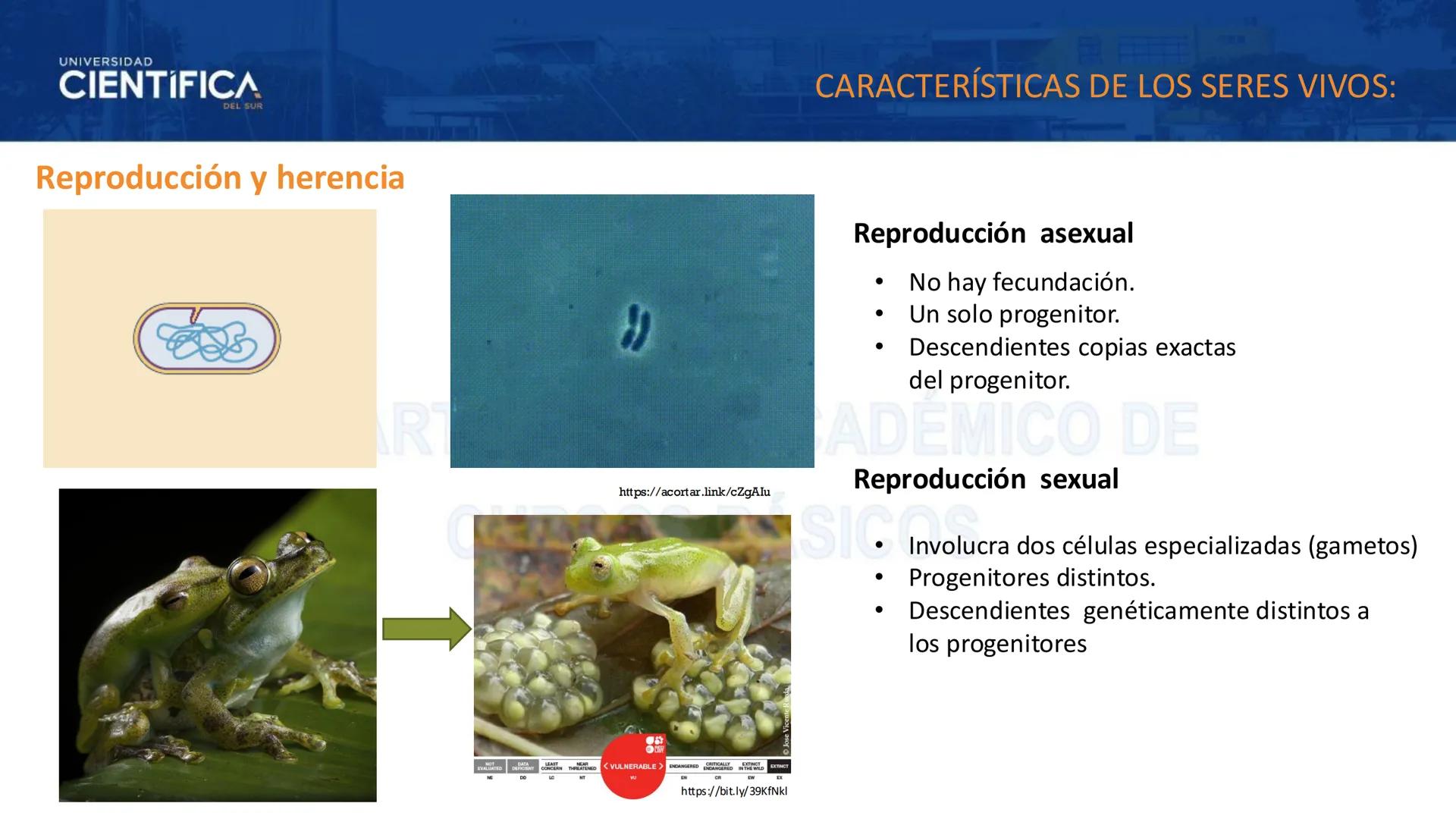 # UNIVERSIDAD
# CIENTÍFICA
DEL SUR
# BIOLOGÍA
Departamento Académico de Cursos Básicos
MEJORAS TÚ, MEJORA EL MUNDO. # UNIVERSIDAD
# CIENTÍFI