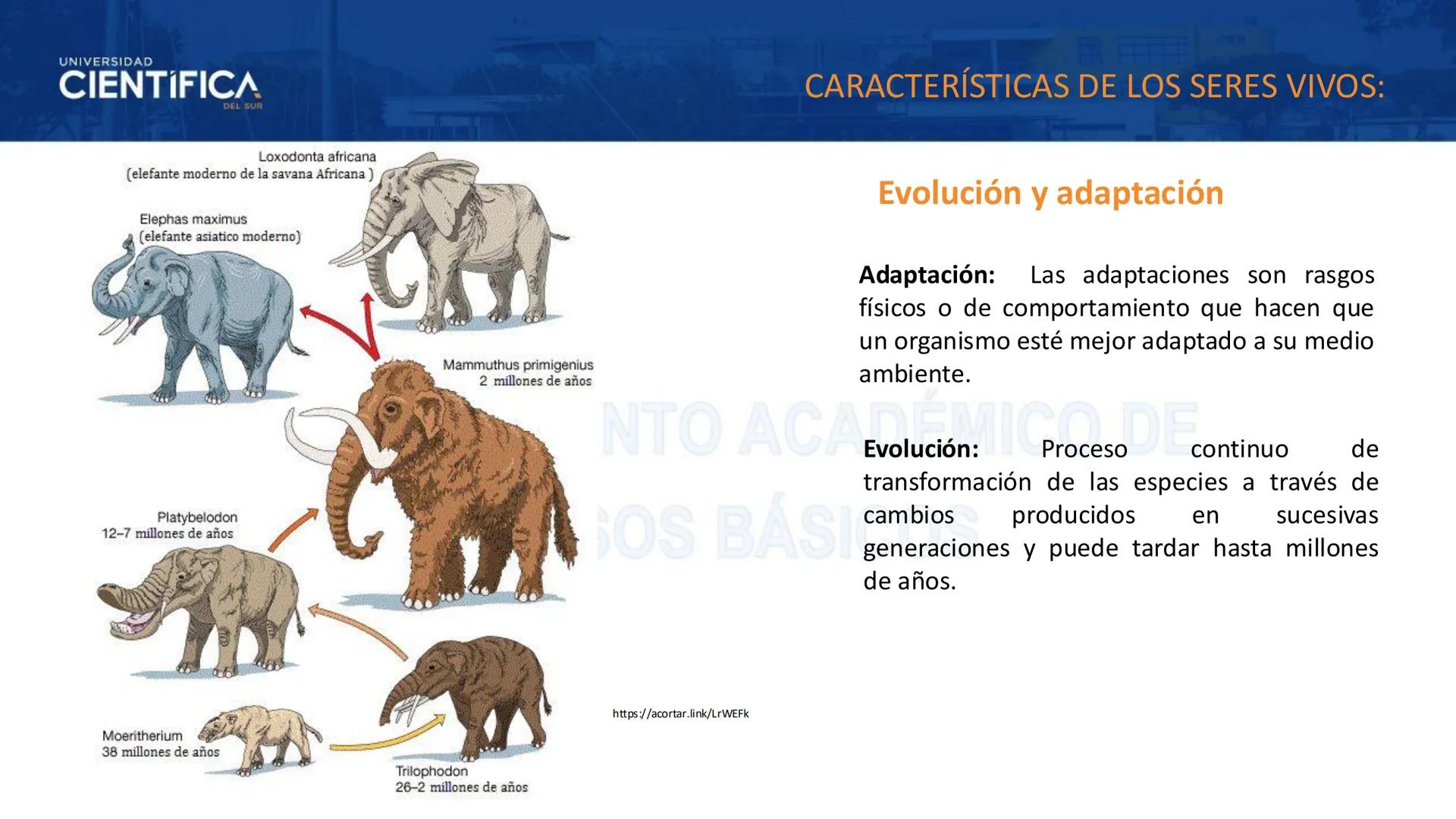 # UNIVERSIDAD
# CIENTÍFICA
DEL SUR
# BIOLOGÍA
Departamento Académico de Cursos Básicos
MEJORAS TÚ, MEJORA EL MUNDO. # UNIVERSIDAD
# CIENTÍFI
