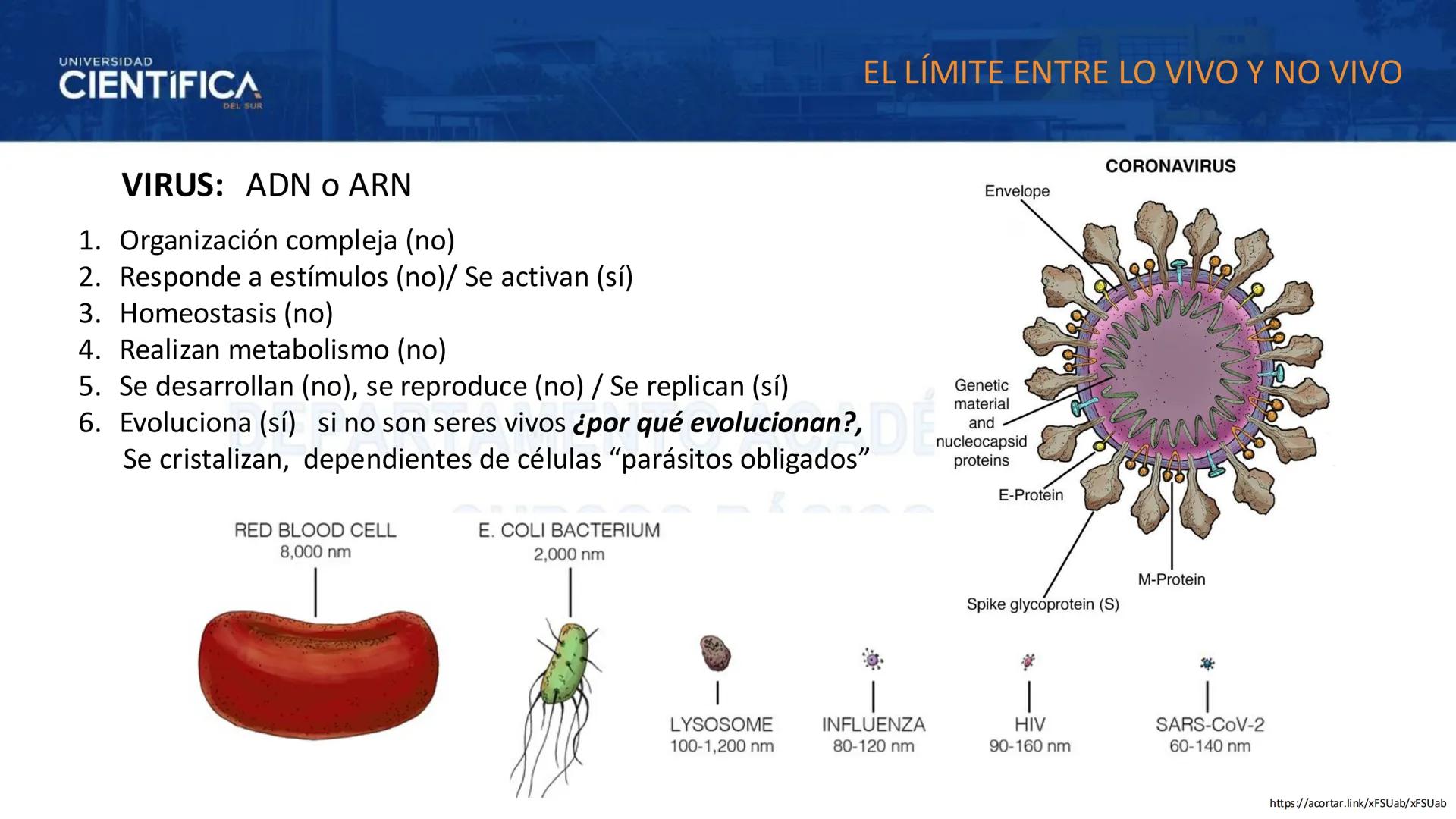 # UNIVERSIDAD
# CIENTÍFICA
DEL SUR
# BIOLOGÍA
Departamento Académico de Cursos Básicos
MEJORAS TÚ, MEJORA EL MUNDO. # UNIVERSIDAD
# CIENTÍFI