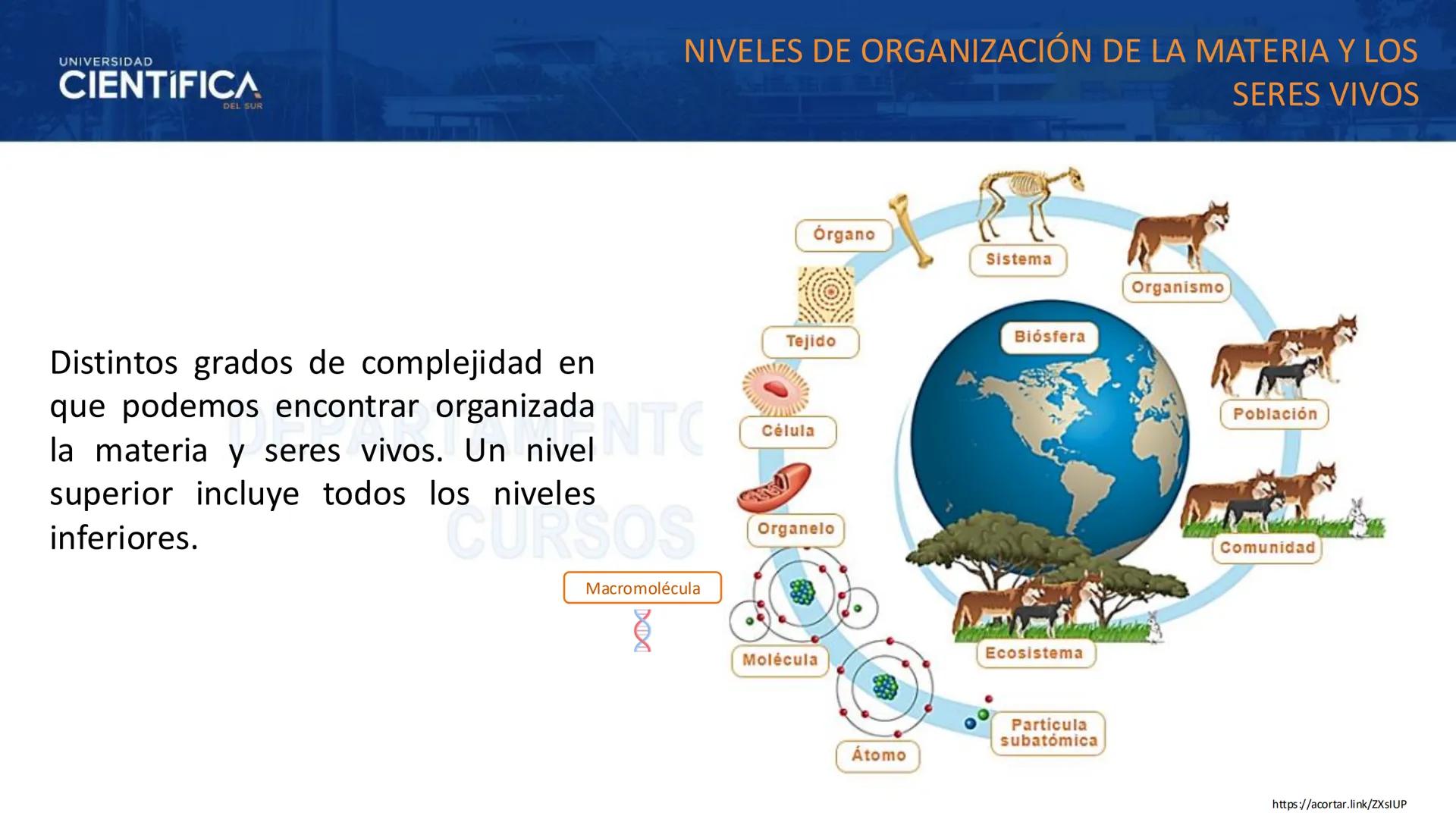 # UNIVERSIDAD
# CIENTÍFICA
DEL SUR
# BIOLOGÍA
Departamento Académico de Cursos Básicos
MEJORAS TÚ, MEJORA EL MUNDO. # UNIVERSIDAD
# CIENTÍFI