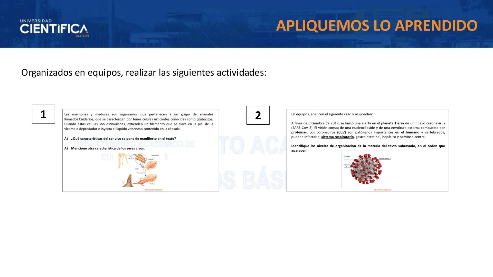 # UNIVERSIDAD
# CIENTÍFICA
DEL SUR
# BIOLOGÍA
Departamento Académico de Cursos Básicos
MEJORAS TÚ, MEJORA EL MUNDO. # UNIVERSIDAD
# CIENTÍFI