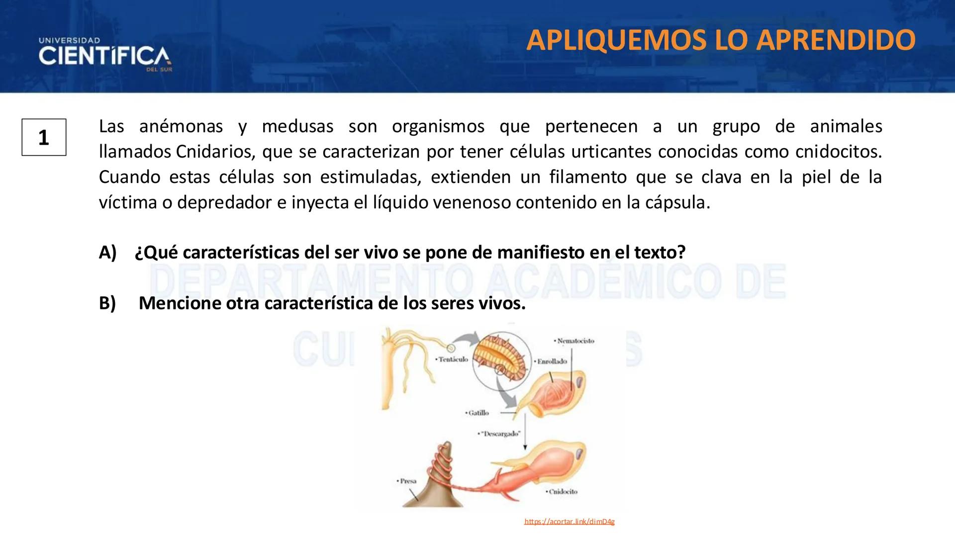# UNIVERSIDAD
# CIENTÍFICA
DEL SUR
# BIOLOGÍA
Departamento Académico de Cursos Básicos
MEJORAS TÚ, MEJORA EL MUNDO. # UNIVERSIDAD
# CIENTÍFI