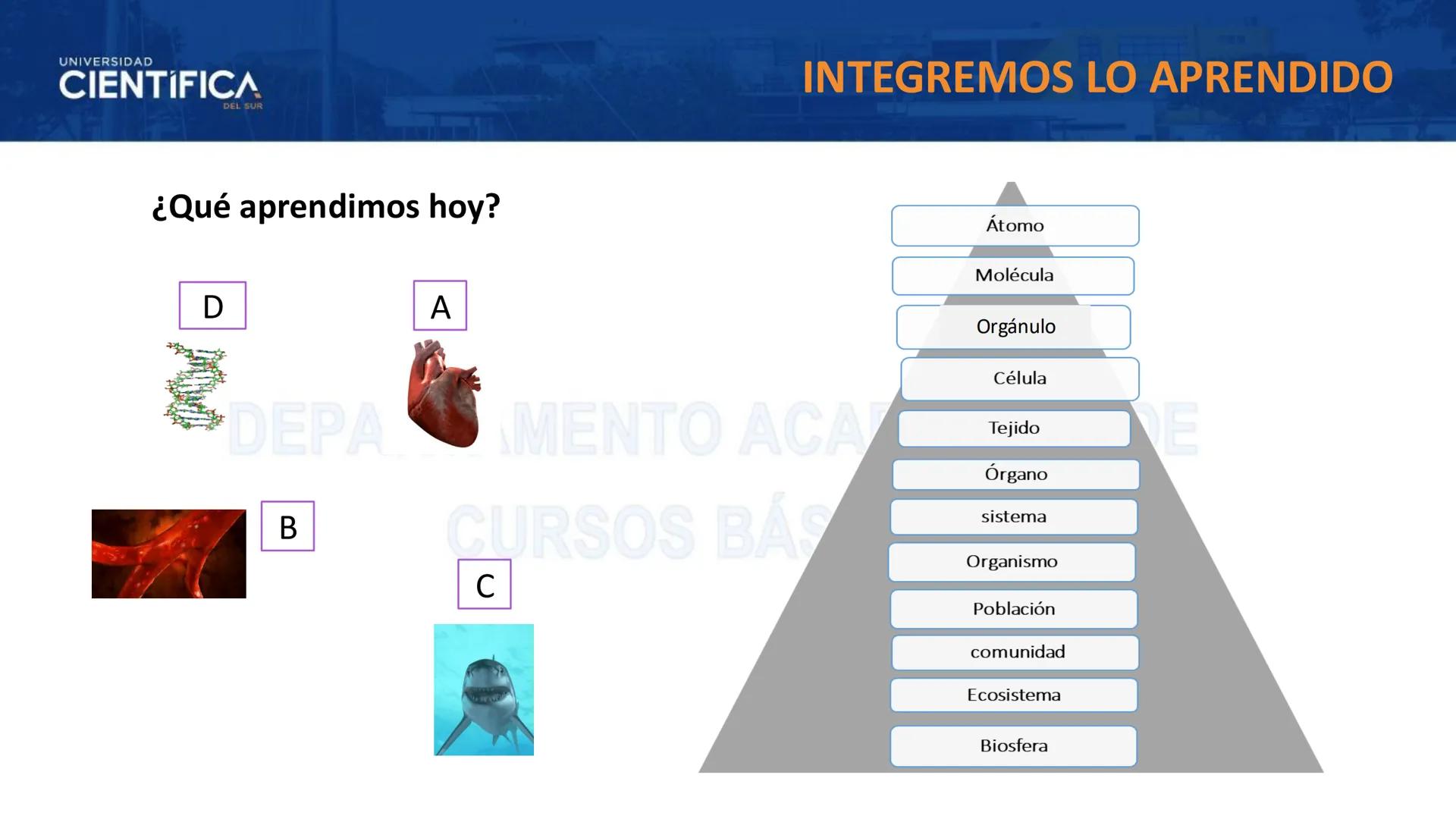 # UNIVERSIDAD
# CIENTÍFICA
DEL SUR
# BIOLOGÍA
Departamento Académico de Cursos Básicos
MEJORAS TÚ, MEJORA EL MUNDO. # UNIVERSIDAD
# CIENTÍFI
