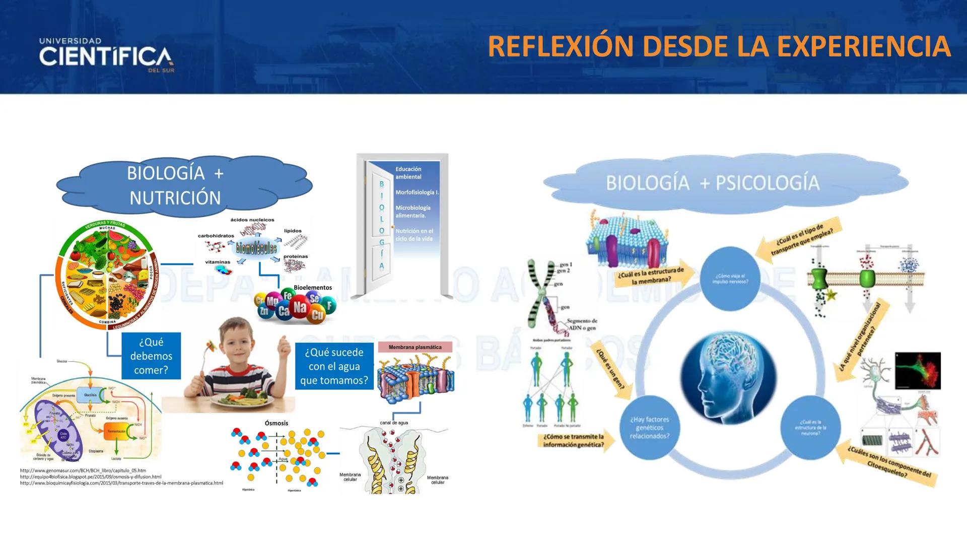 # UNIVERSIDAD
# CIENTÍFICA
DEL SUR
# BIOLOGÍA
Departamento Académico de Cursos Básicos
MEJORAS TÚ, MEJORA EL MUNDO. # UNIVERSIDAD
# CIENTÍFI