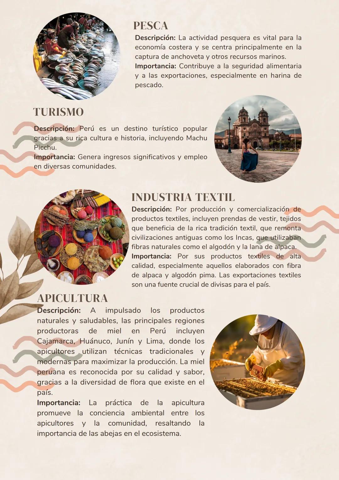 # Actividades económicas que se desarrollan
EN EL PERU
AGRICULTURA
Descripción: La agricultura es un sector clave en la
economía peruana,