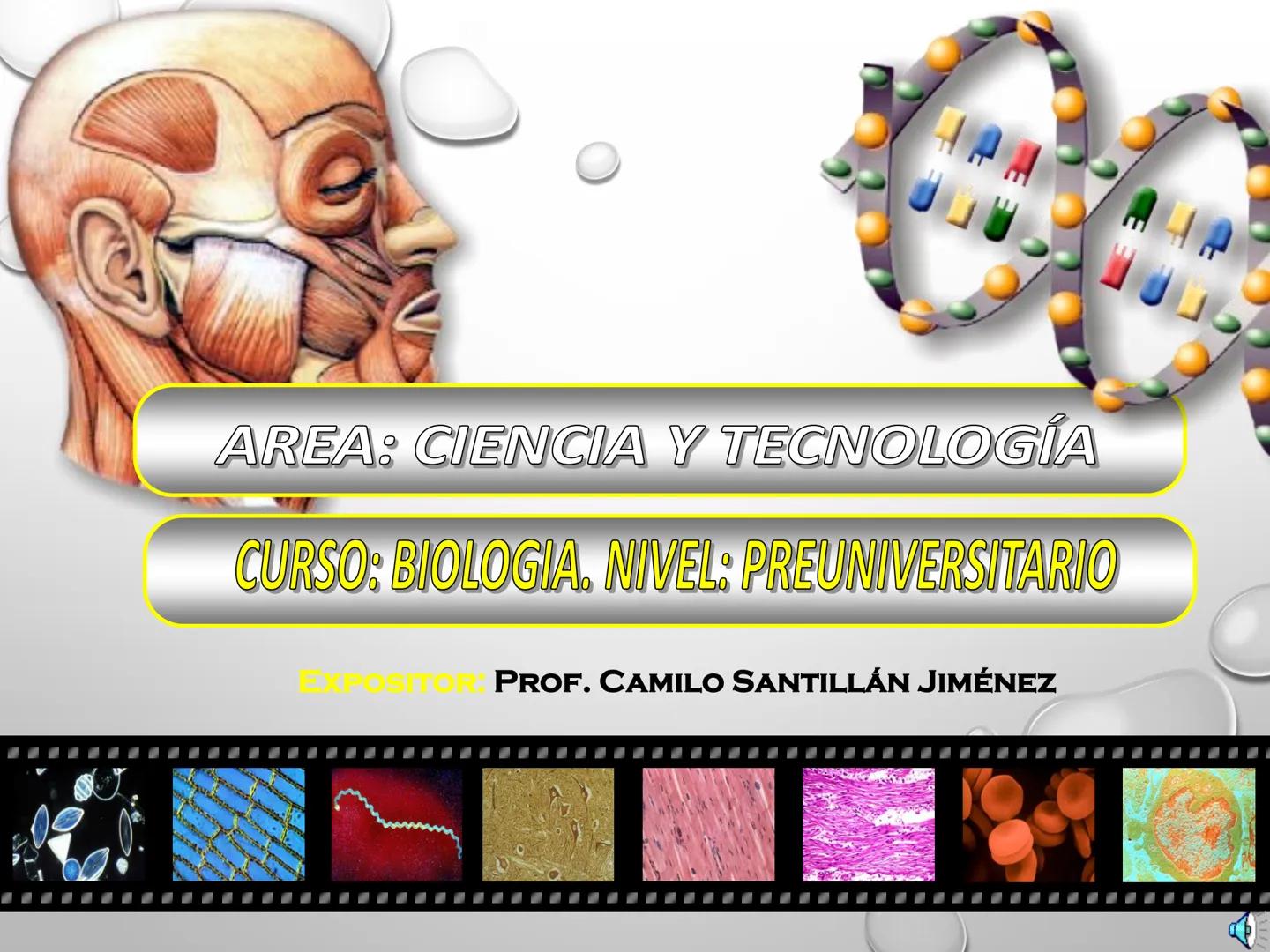 AREA: CIENCIA Y TECNOLOGÍA
CURSO: BIOLOGIA. NIVEL: PREUNIVERSITARIO
EXPOSITONPROF. CAMILO SANTILLÁN JIMÉNEZ - Glúcidos
BIOMOLECULA ORGANI