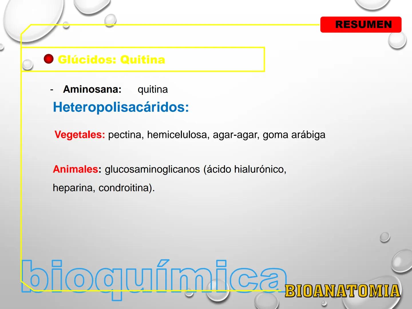 AREA: CIENCIA Y TECNOLOGÍA
CURSO: BIOLOGIA. NIVEL: PREUNIVERSITARIO
EXPOSITONPROF. CAMILO SANTILLÁN JIMÉNEZ - Glúcidos
BIOMOLECULA ORGANI