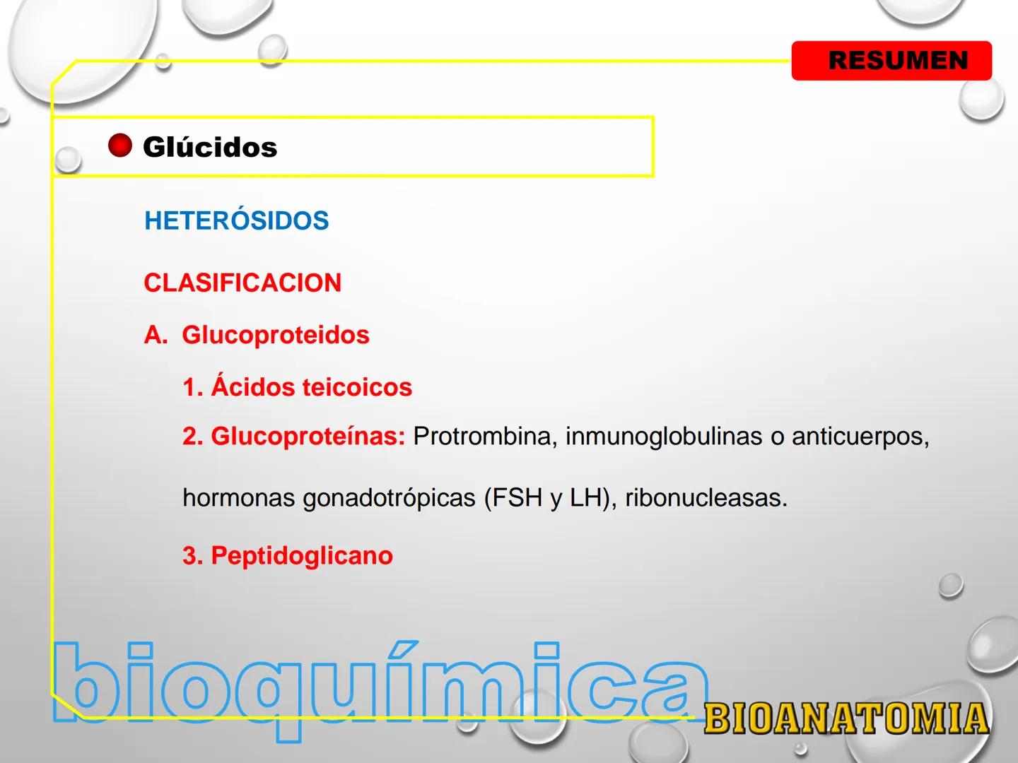 AREA: CIENCIA Y TECNOLOGÍA
CURSO: BIOLOGIA. NIVEL: PREUNIVERSITARIO
EXPOSITONPROF. CAMILO SANTILLÁN JIMÉNEZ - Glúcidos
BIOMOLECULA ORGANI