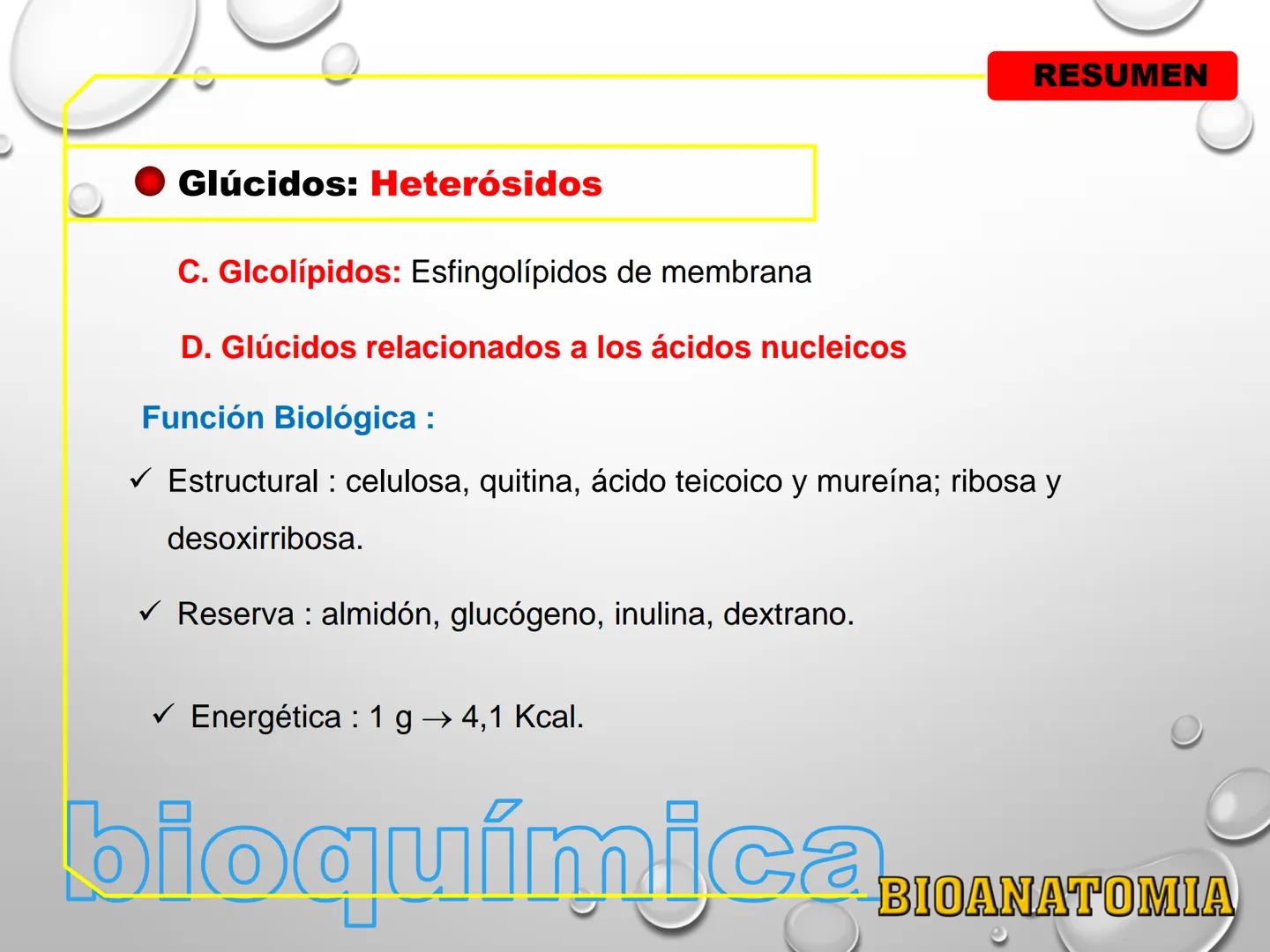 AREA: CIENCIA Y TECNOLOGÍA
CURSO: BIOLOGIA. NIVEL: PREUNIVERSITARIO
EXPOSITONPROF. CAMILO SANTILLÁN JIMÉNEZ - Glúcidos
BIOMOLECULA ORGANI