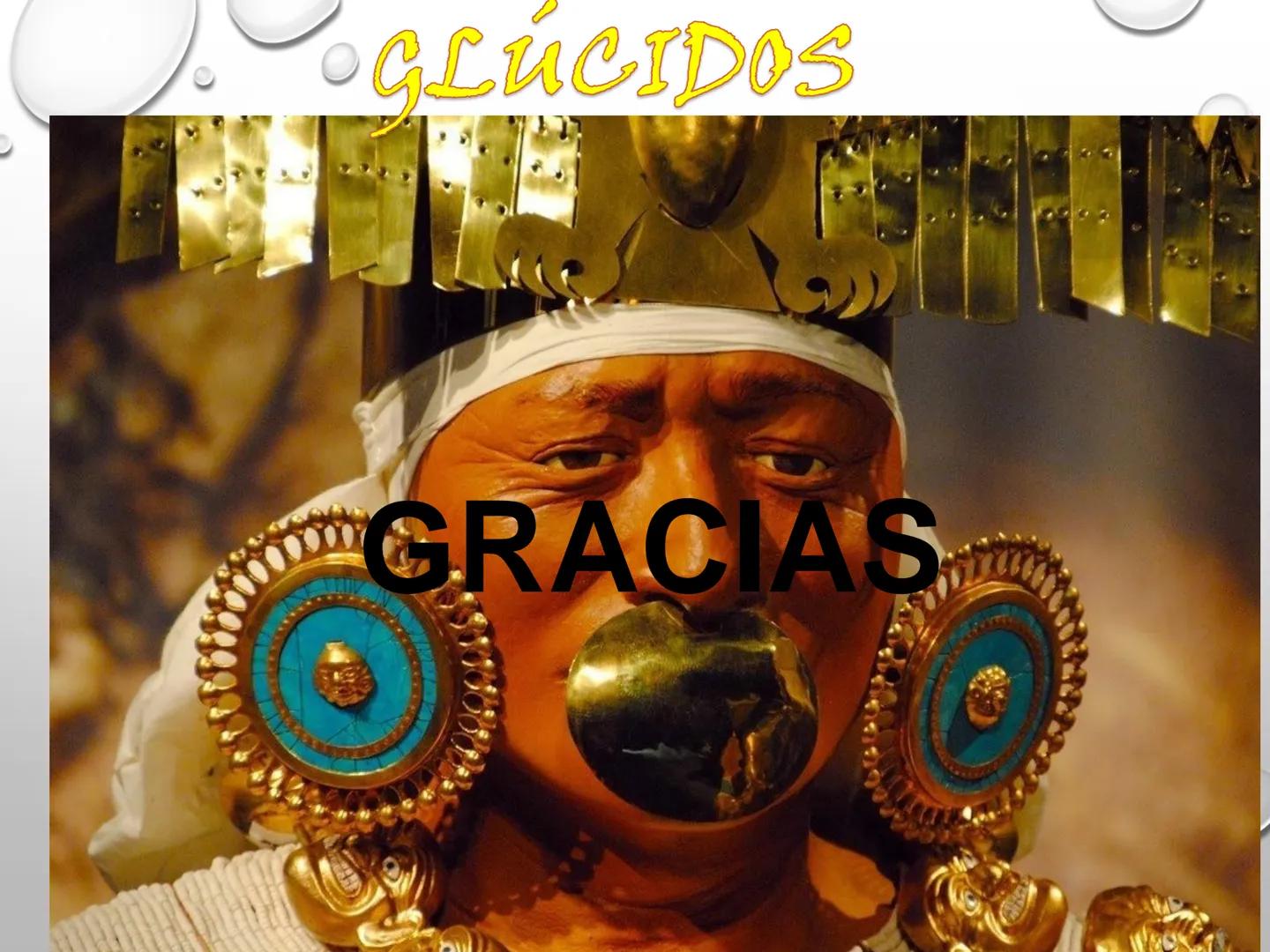 AREA: CIENCIA Y TECNOLOGÍA
CURSO: BIOLOGIA. NIVEL: PREUNIVERSITARIO
EXPOSITONPROF. CAMILO SANTILLÁN JIMÉNEZ - Glúcidos
BIOMOLECULA ORGANI