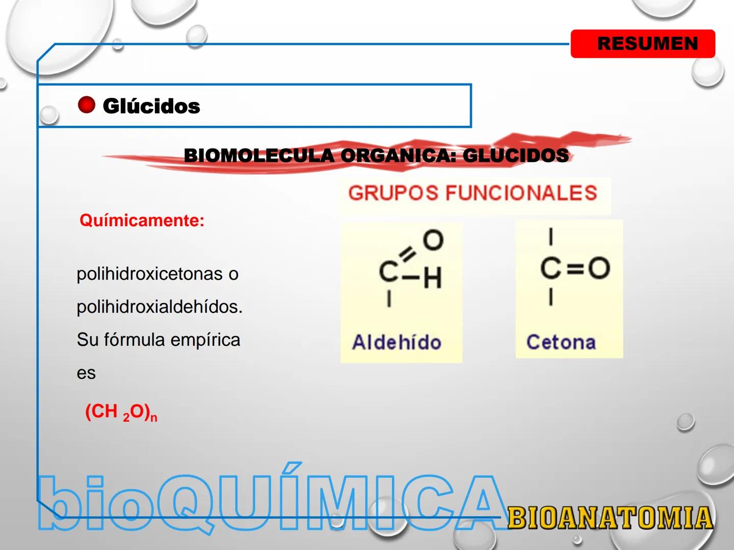 AREA: CIENCIA Y TECNOLOGÍA
CURSO: BIOLOGIA. NIVEL: PREUNIVERSITARIO
EXPOSITONPROF. CAMILO SANTILLÁN JIMÉNEZ - Glúcidos
BIOMOLECULA ORGANI