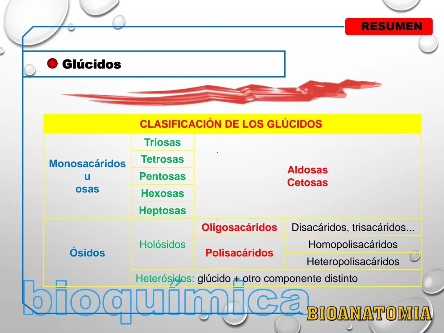 AREA: CIENCIA Y TECNOLOGÍA
CURSO: BIOLOGIA. NIVEL: PREUNIVERSITARIO
EXPOSITONPROF. CAMILO SANTILLÁN JIMÉNEZ - Glúcidos
BIOMOLECULA ORGANI