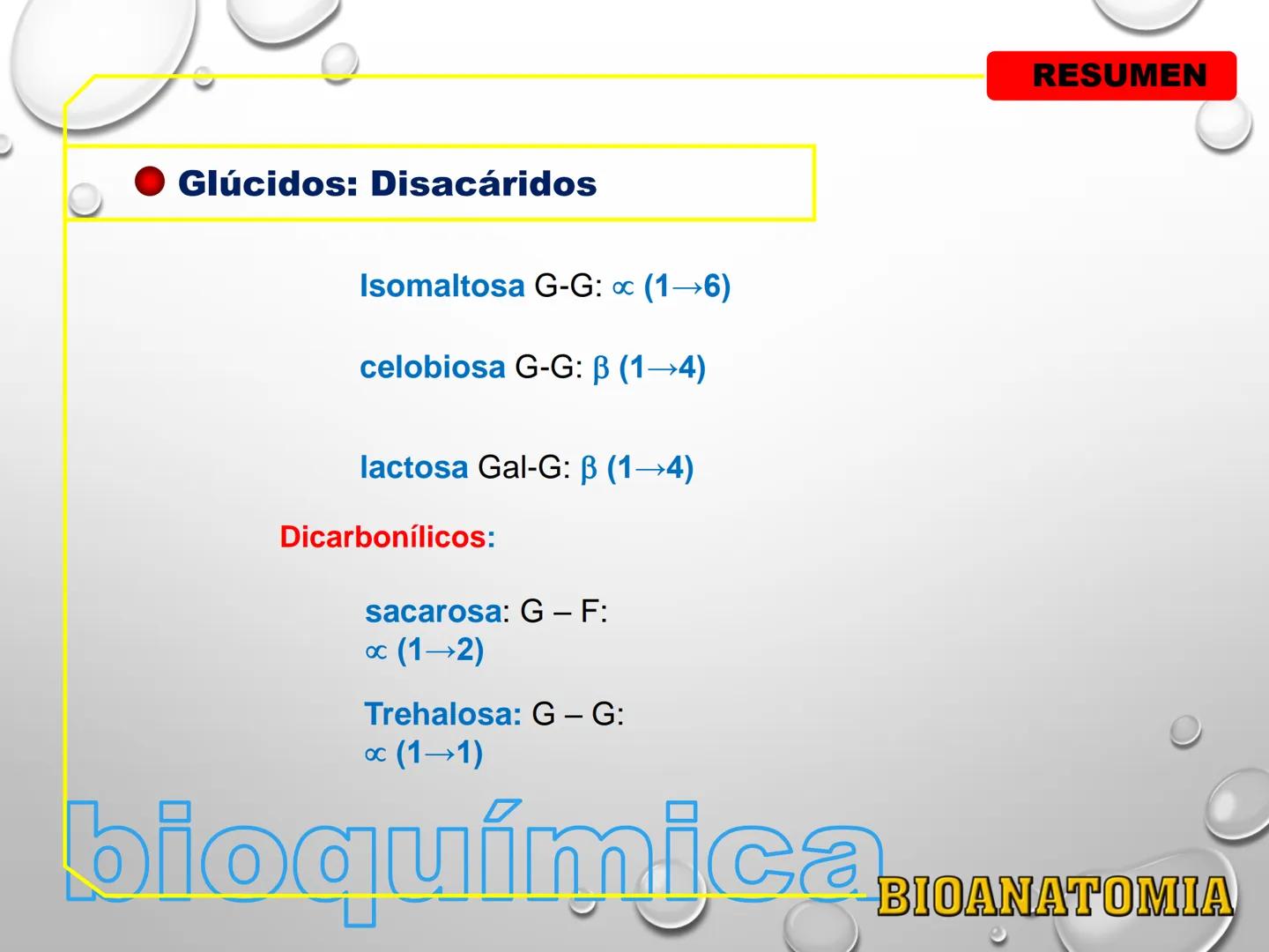AREA: CIENCIA Y TECNOLOGÍA
CURSO: BIOLOGIA. NIVEL: PREUNIVERSITARIO
EXPOSITONPROF. CAMILO SANTILLÁN JIMÉNEZ - Glúcidos
BIOMOLECULA ORGANI