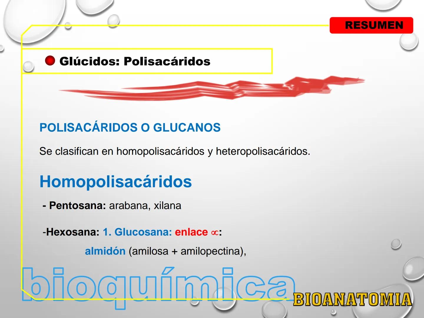 AREA: CIENCIA Y TECNOLOGÍA
CURSO: BIOLOGIA. NIVEL: PREUNIVERSITARIO
EXPOSITONPROF. CAMILO SANTILLÁN JIMÉNEZ - Glúcidos
BIOMOLECULA ORGANI