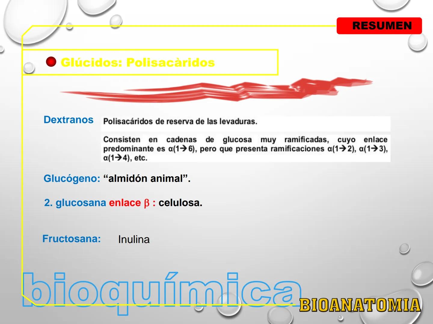 AREA: CIENCIA Y TECNOLOGÍA
CURSO: BIOLOGIA. NIVEL: PREUNIVERSITARIO
EXPOSITONPROF. CAMILO SANTILLÁN JIMÉNEZ - Glúcidos
BIOMOLECULA ORGANI