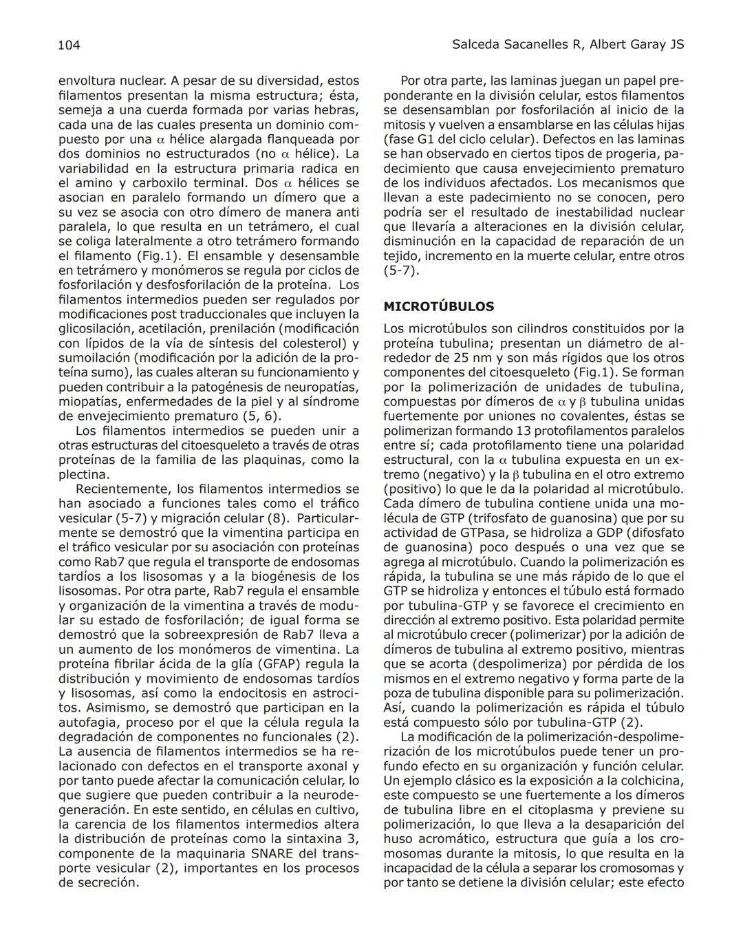 102
Revista de Educación Bioquímica (REB) 35(4):102-114, 2016
EL CITOESQUELETO: UN COMPONENTE FUNDAMENTAL
EN LA ARQUITECTURA Y EN LA FISIOLO