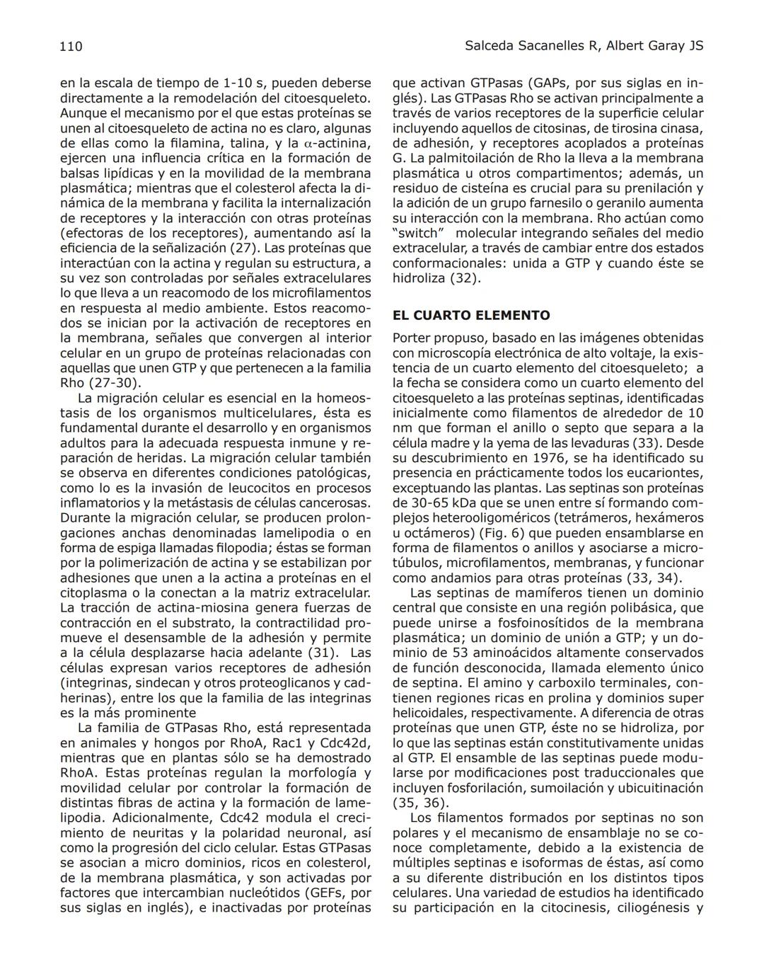 102
Revista de Educación Bioquímica (REB) 35(4):102-114, 2016
EL CITOESQUELETO: UN COMPONENTE FUNDAMENTAL
EN LA ARQUITECTURA Y EN LA FISIOLO