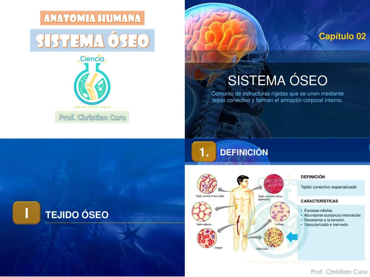 # ANATOMÍA HUMANA
# SISTEMA ÓSEO
Ciencia.
PREUNIVERSITARIA
Prof. Christian Curo
Capítulo 02
# SISTEMA ÓSEO
Conjunto de estructuras rígidas q