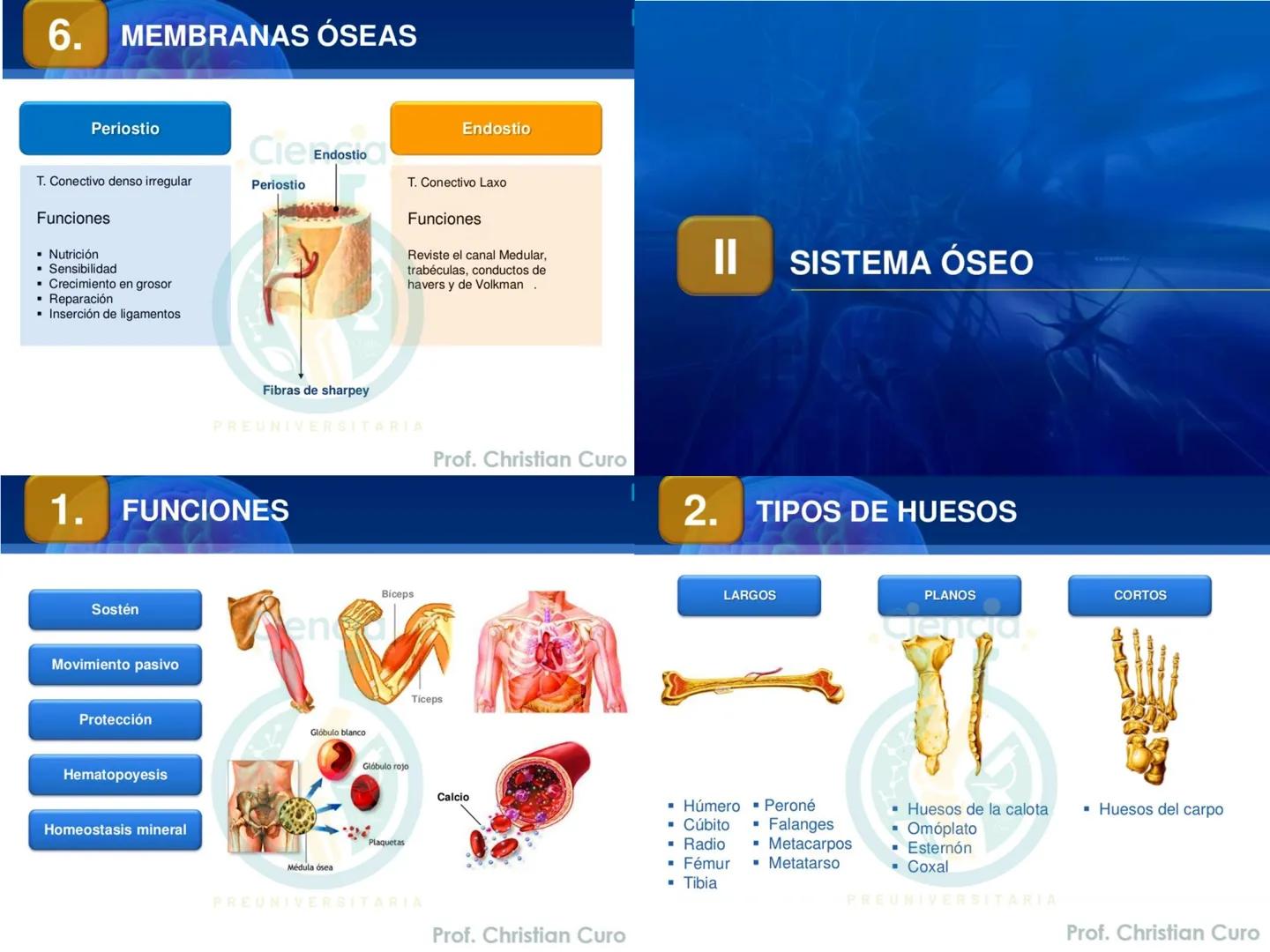 # ANATOMÍA HUMANA
# SISTEMA ÓSEO
Ciencia.
PREUNIVERSITARIA
Prof. Christian Curo
Capítulo 02
# SISTEMA ÓSEO
Conjunto de estructuras rígidas q
