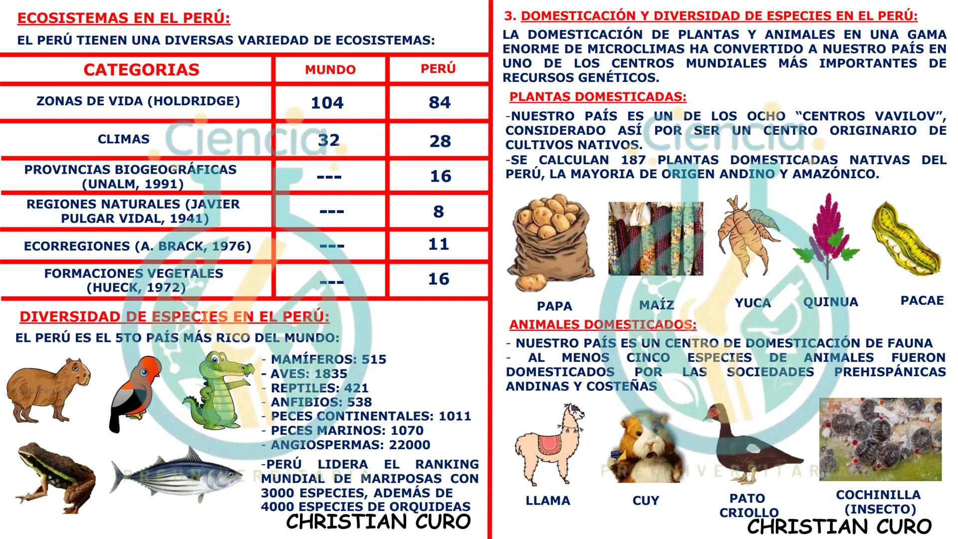 # ecología
CON CHRISTIAN CURO
.Ciencia.
PREUNIVERSITARIA
VESALIUS --- OCR Start ---
ECOLOGÍA
ESTUDIA Y DESCRIBE LAS INTERRELACIONES DE
L