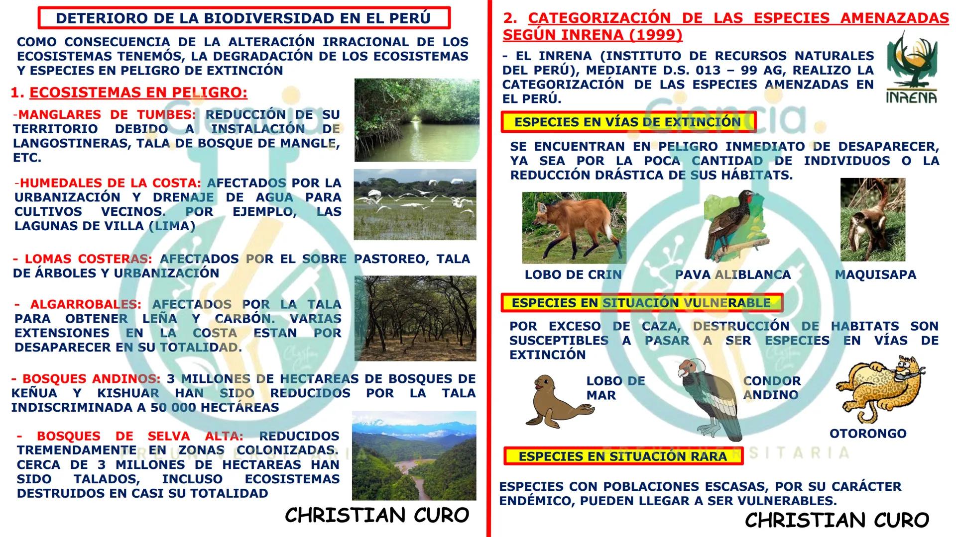 # ecología
CON CHRISTIAN CURO
.Ciencia.
PREUNIVERSITARIA
VESALIUS --- OCR Start ---
ECOLOGÍA
ESTUDIA Y DESCRIBE LAS INTERRELACIONES DE
L