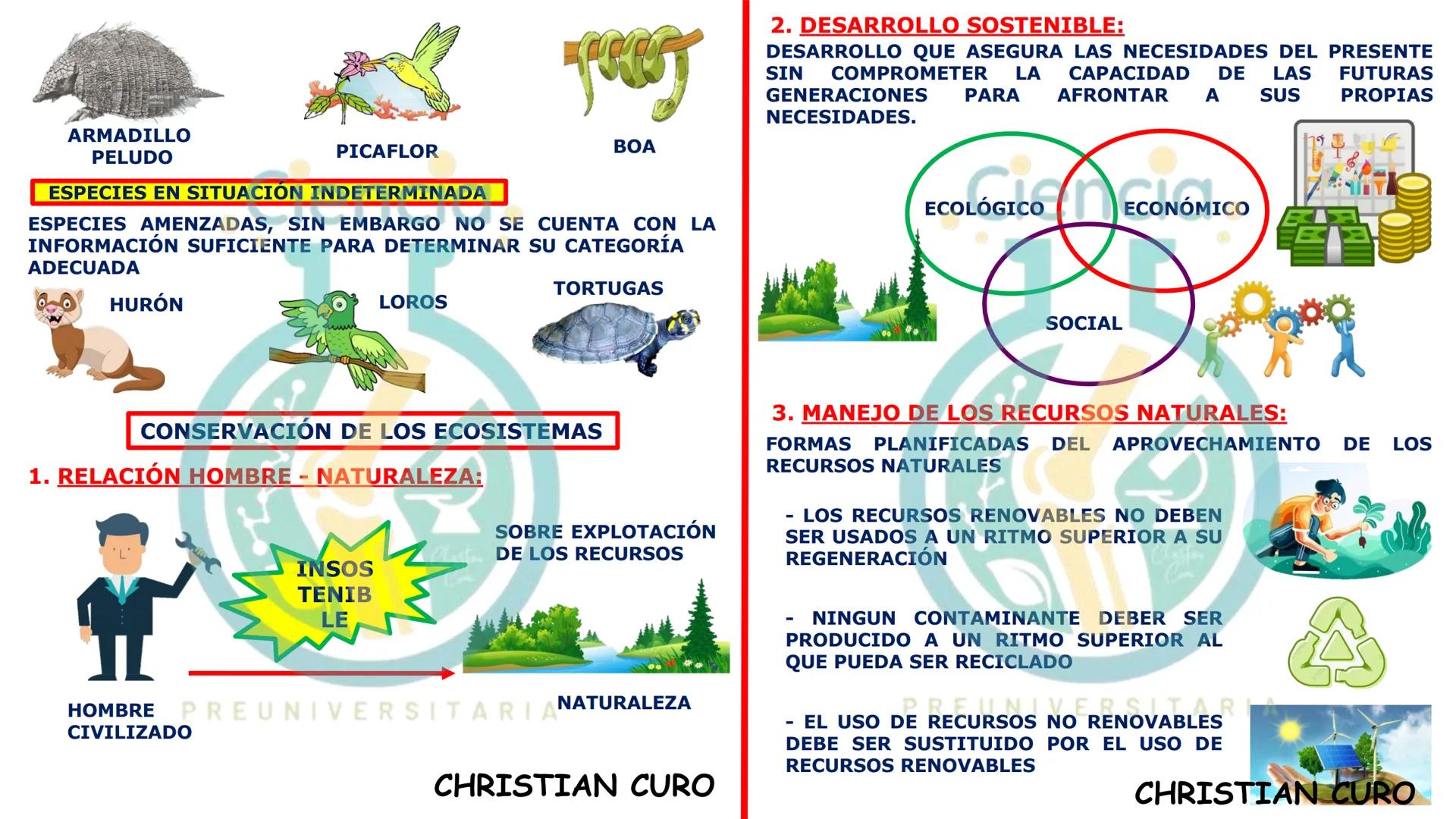 # ecología
CON CHRISTIAN CURO
.Ciencia.
PREUNIVERSITARIA
VESALIUS --- OCR Start ---
ECOLOGÍA
ESTUDIA Y DESCRIBE LAS INTERRELACIONES DE
L