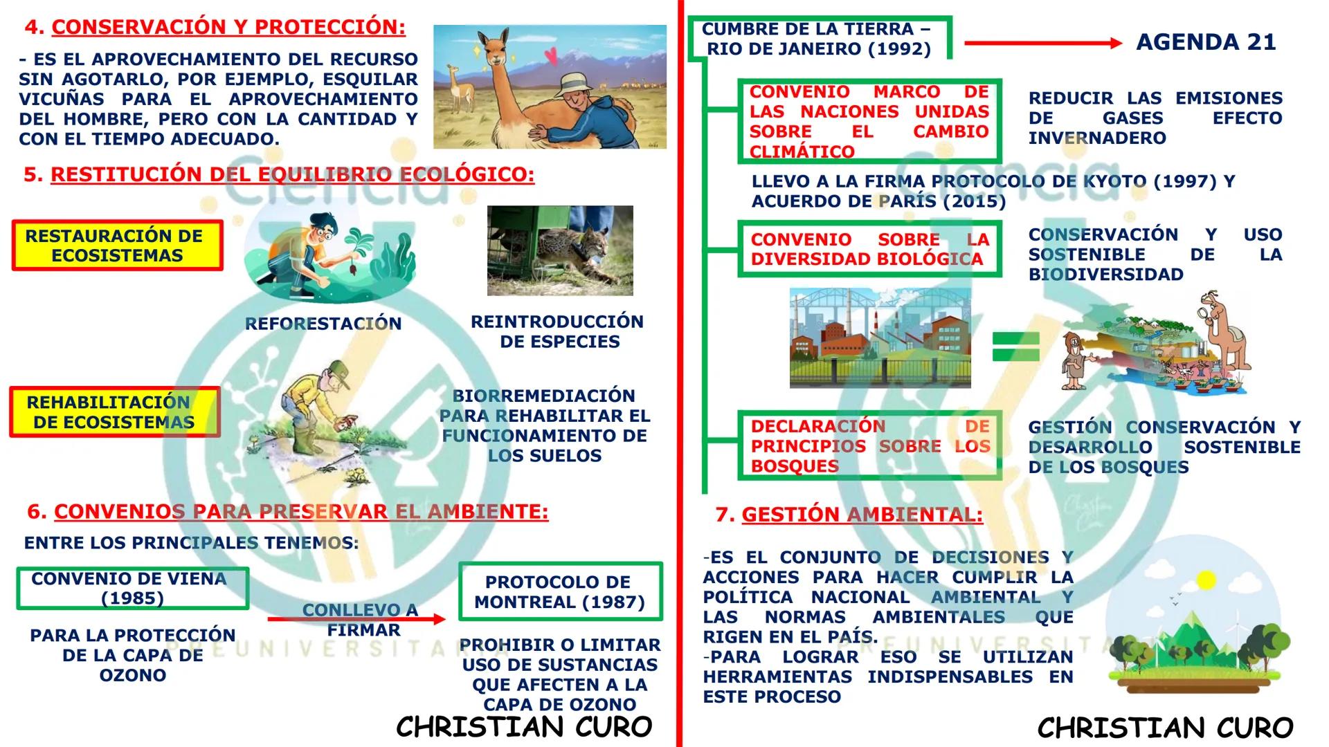 # ecología
CON CHRISTIAN CURO
.Ciencia.
PREUNIVERSITARIA
VESALIUS --- OCR Start ---
ECOLOGÍA
ESTUDIA Y DESCRIBE LAS INTERRELACIONES DE
L